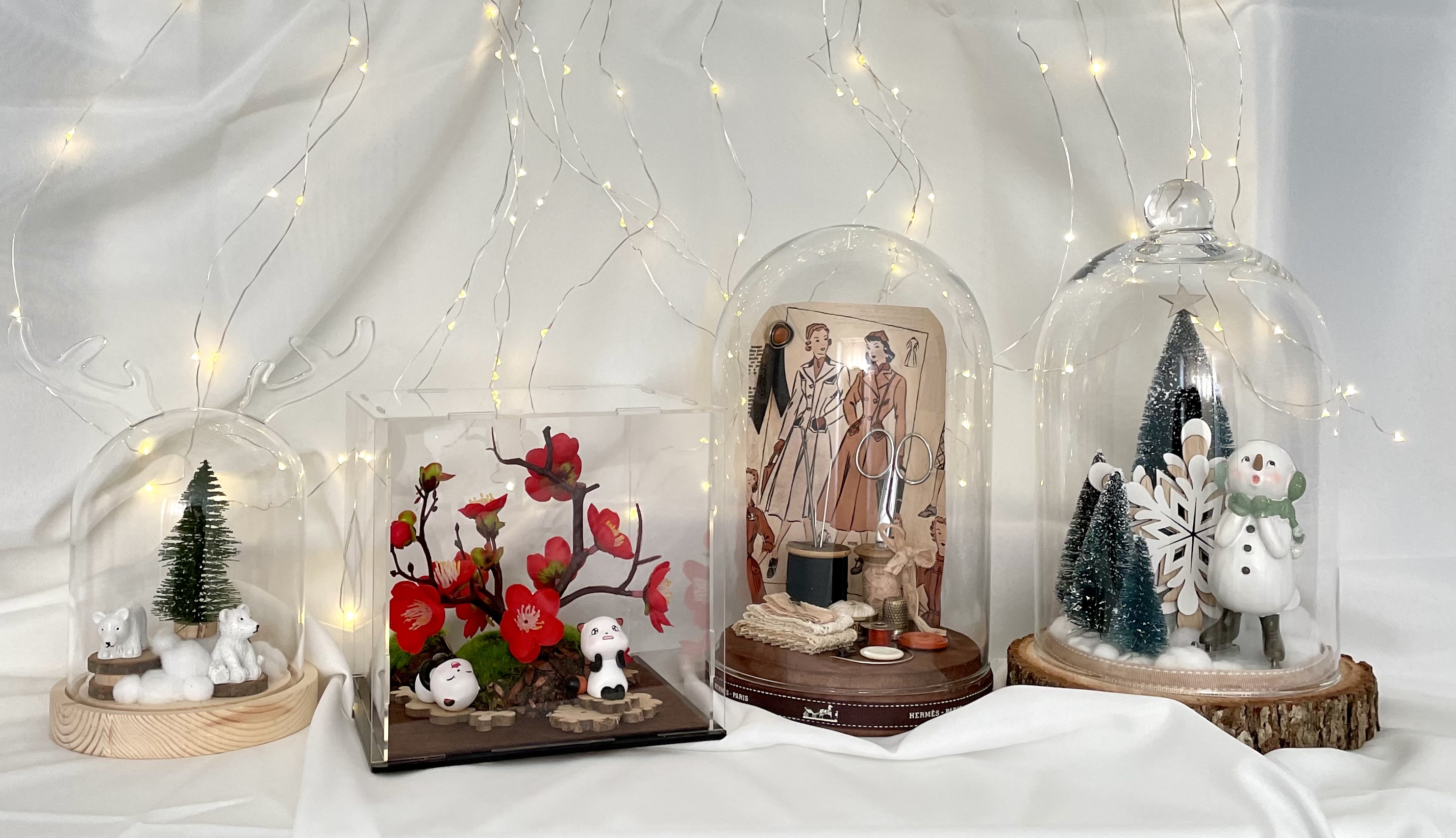 Présentation de Vitrines