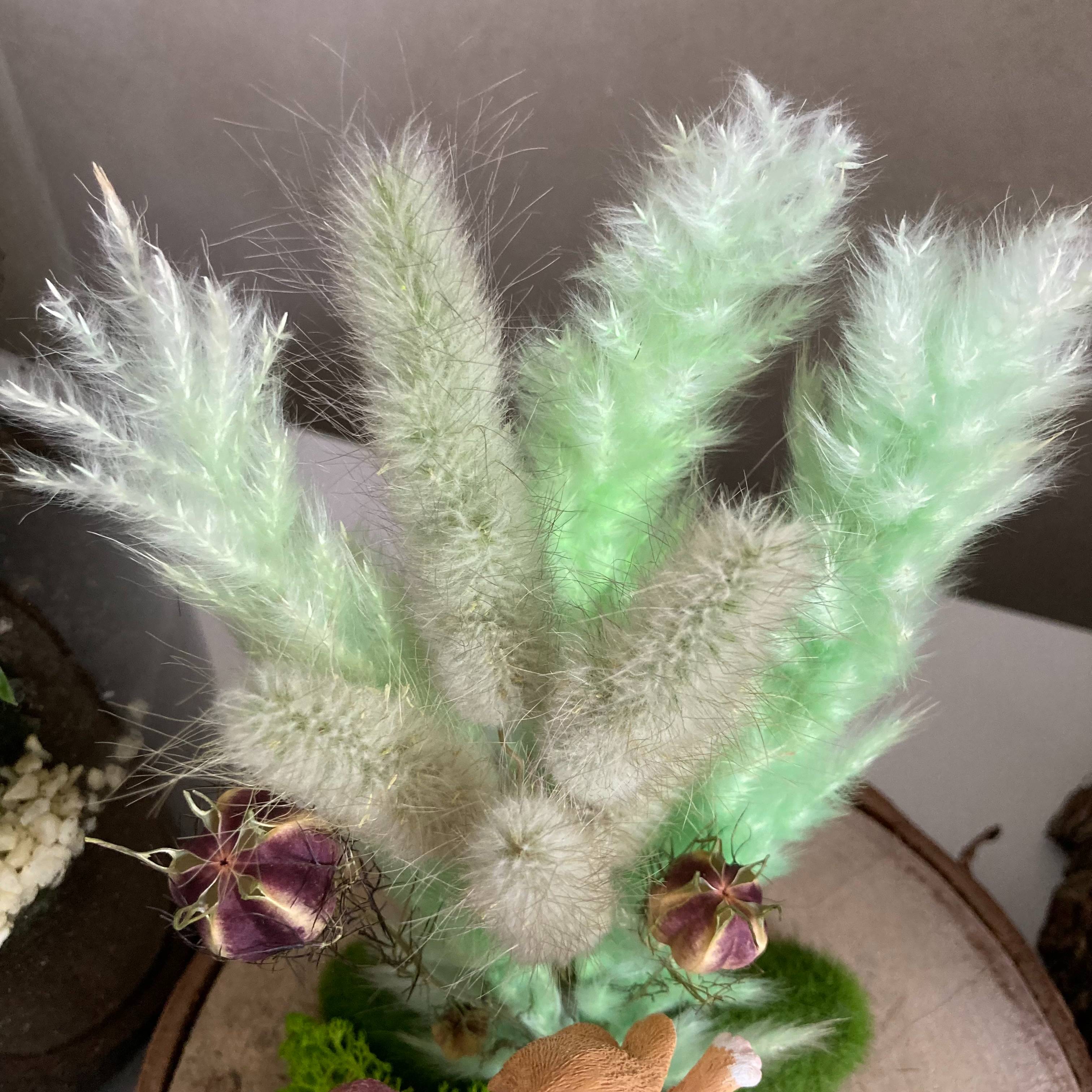 Vitrine 0108e472558b1e4363666f4fa72bf41e.jpg