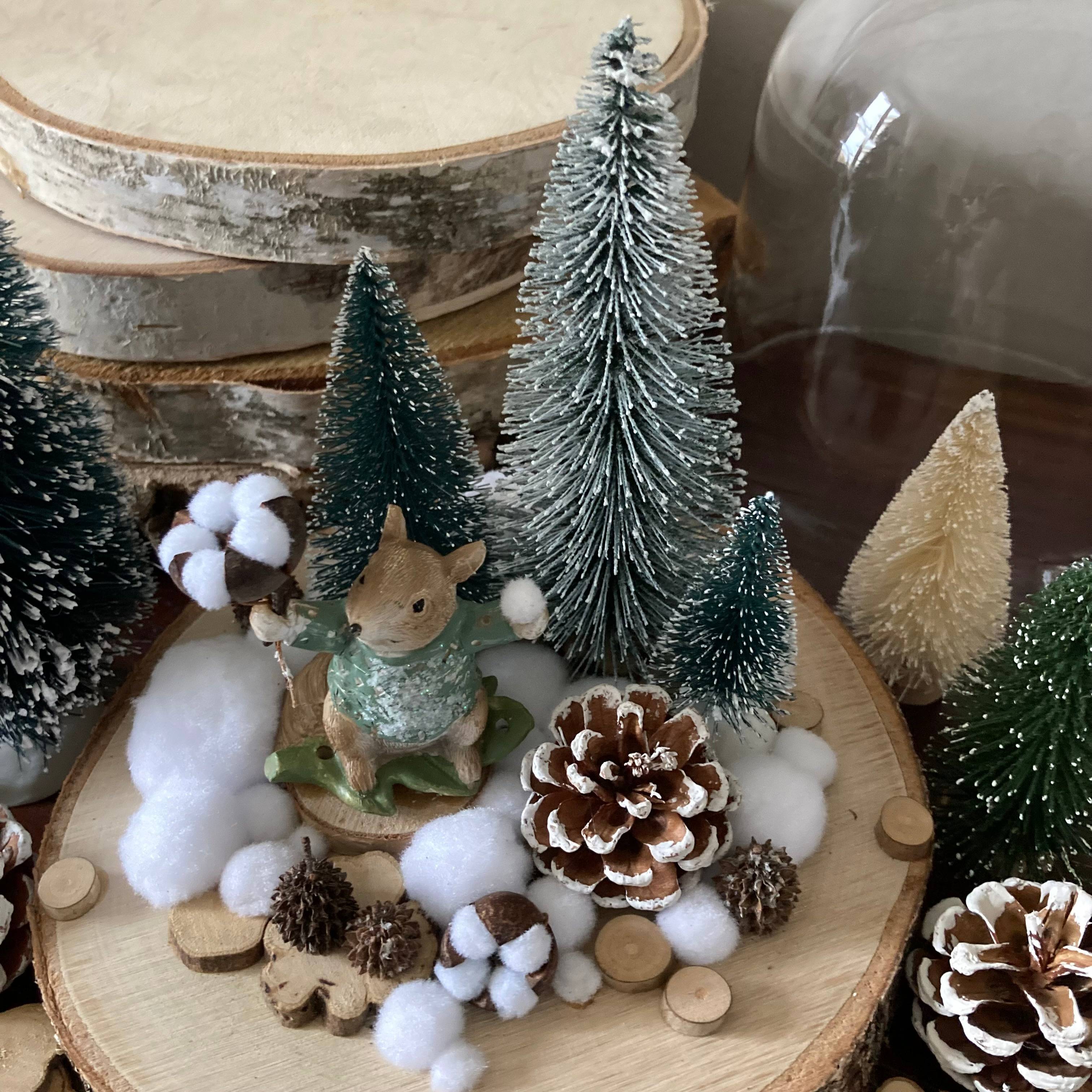 Vitrine 02b1f9ff0f258f88fb8ea9d85f9dd006.jpg