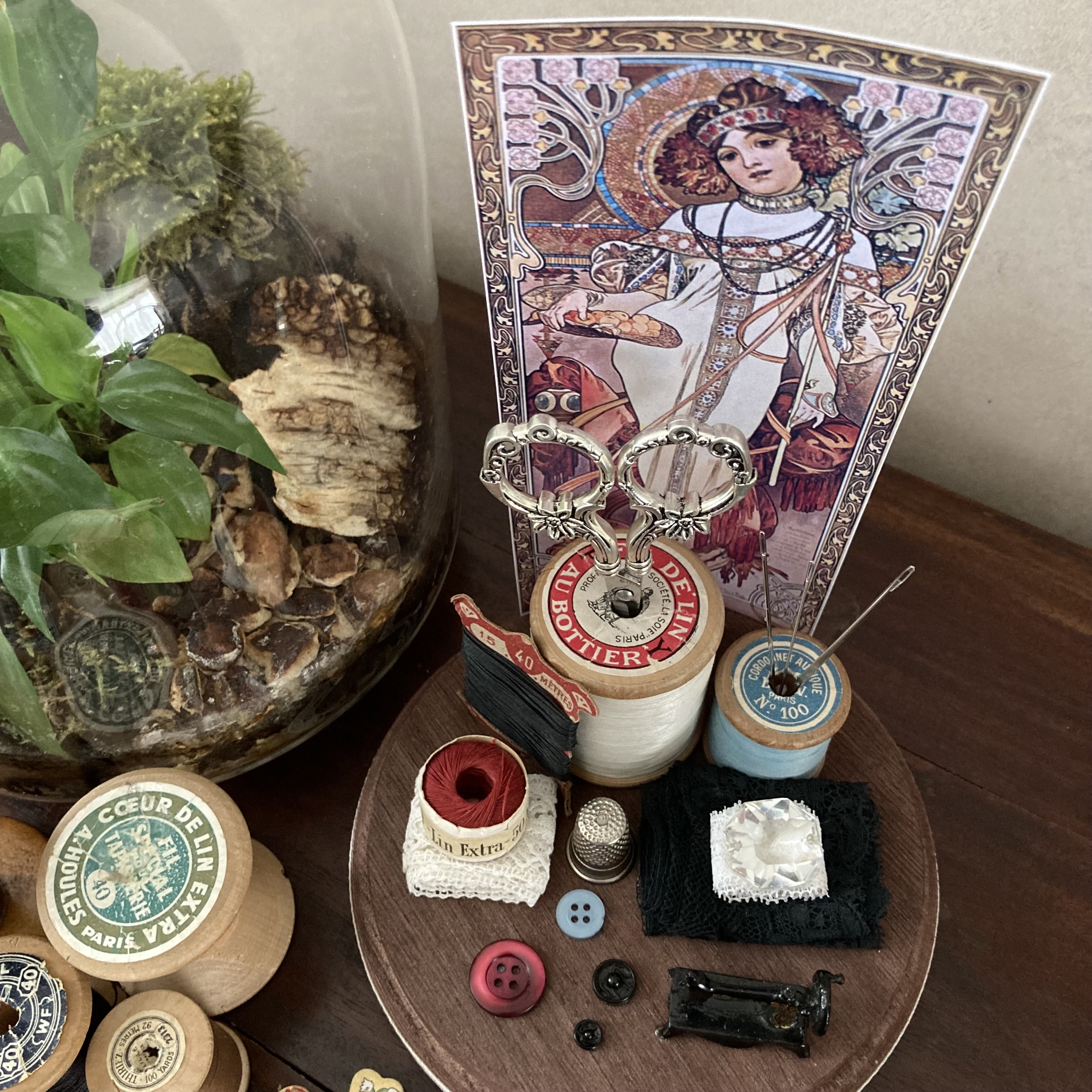 Vitrine 02e58d22340328a54275b0eb7e5bf4af.jpg