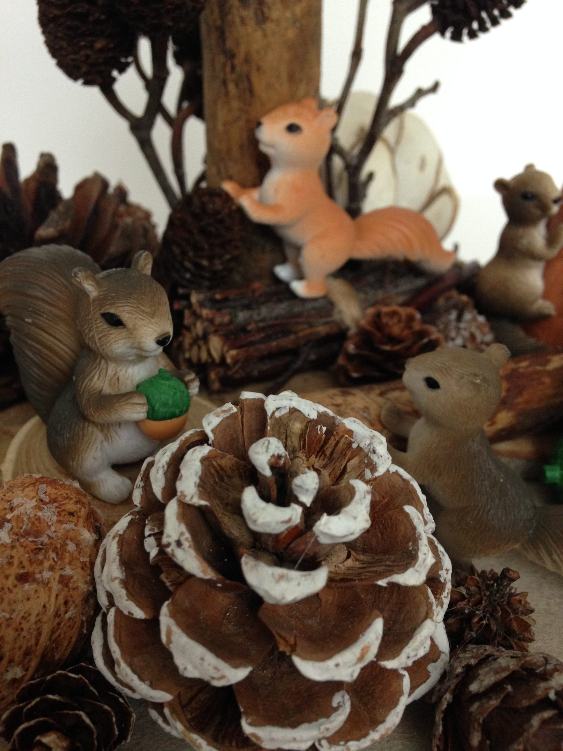 Vitrine 03505d6cebe7a26d7cb63acd323f5df6.jpg