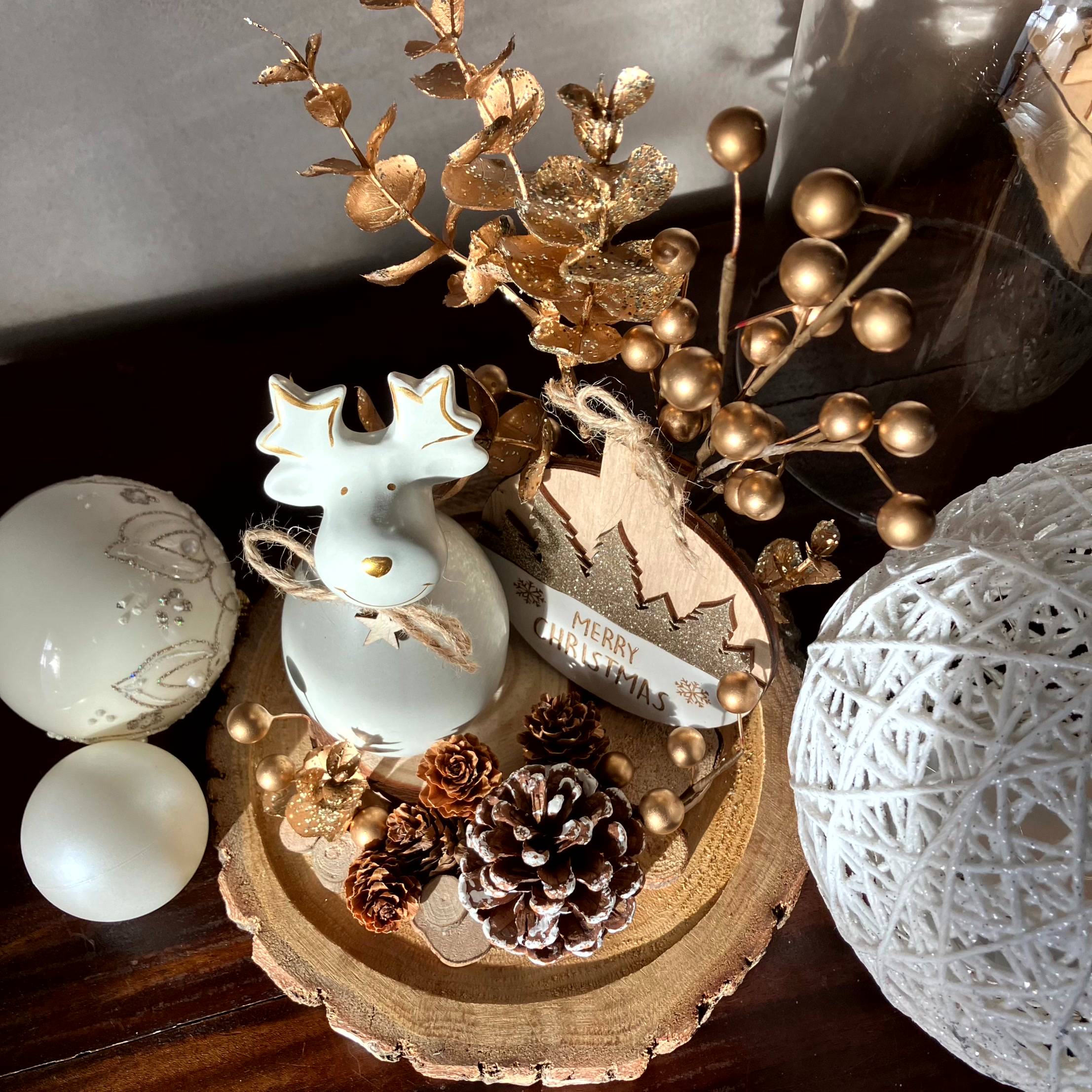 Vitrine 06011f26c62f9fb6918944d867b215d6.jpg