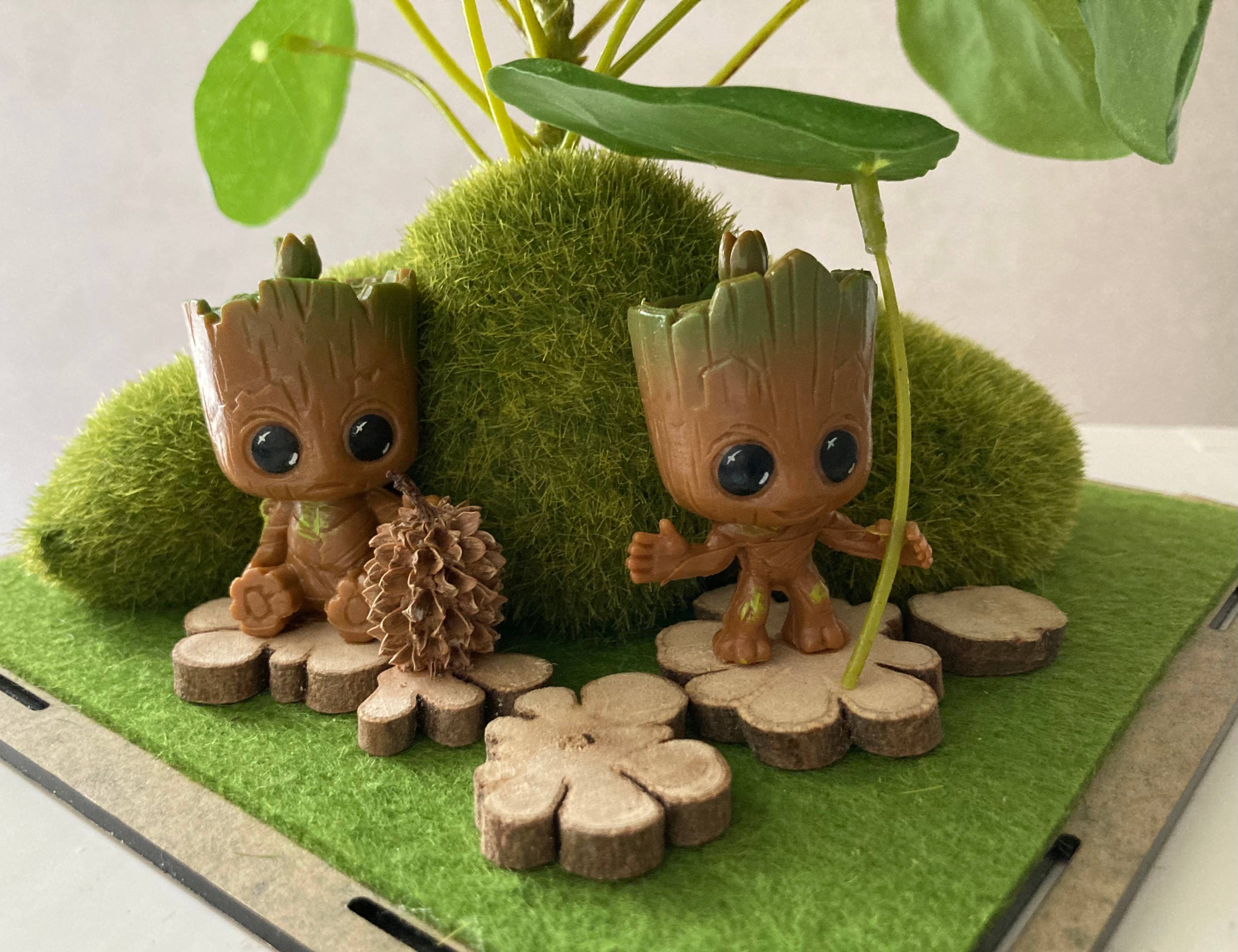 Vitrine 061918eac216794044152e4cfdb111b3.jpg