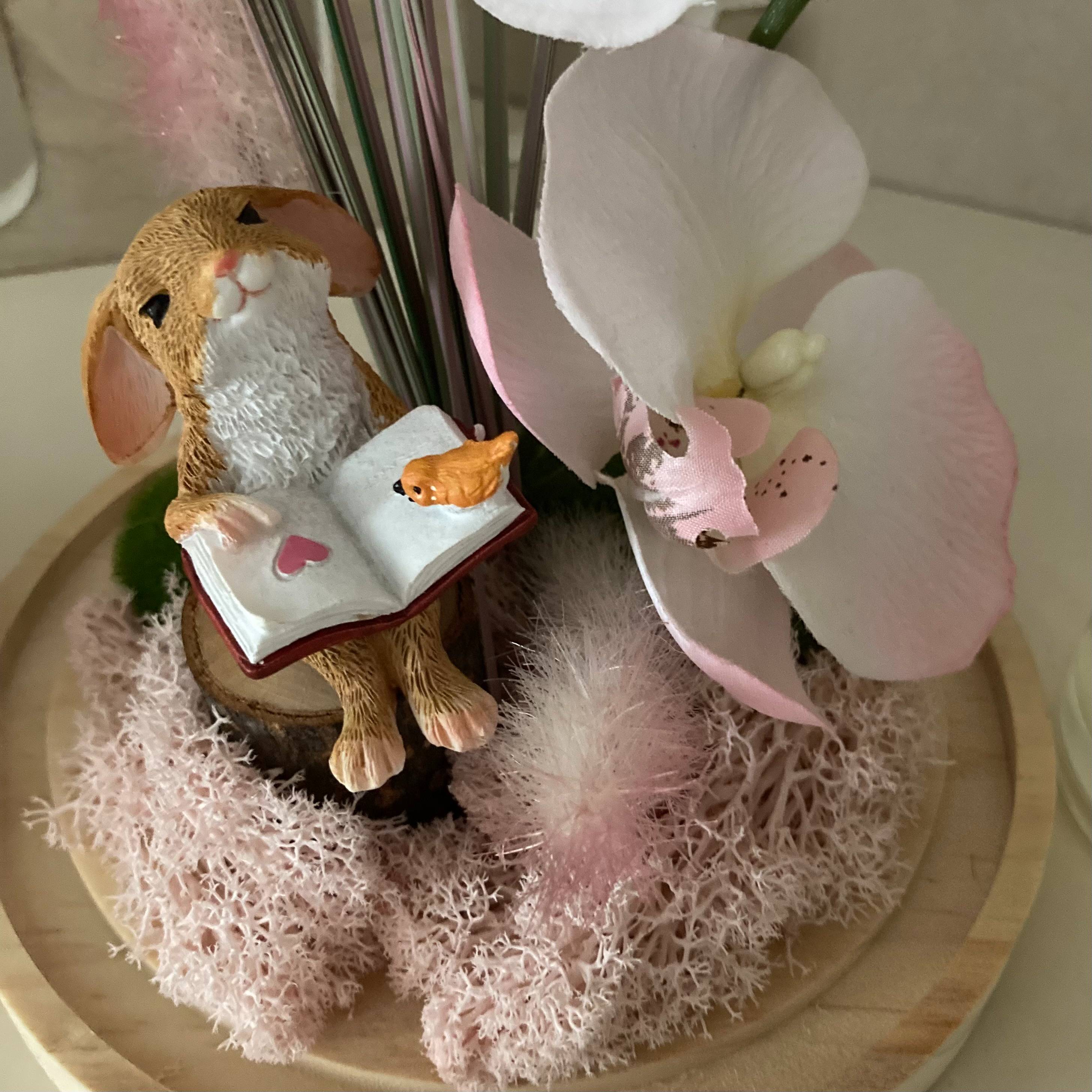 Vitrine 08e633ad7111e22ba932ba725b1f8773.jpg