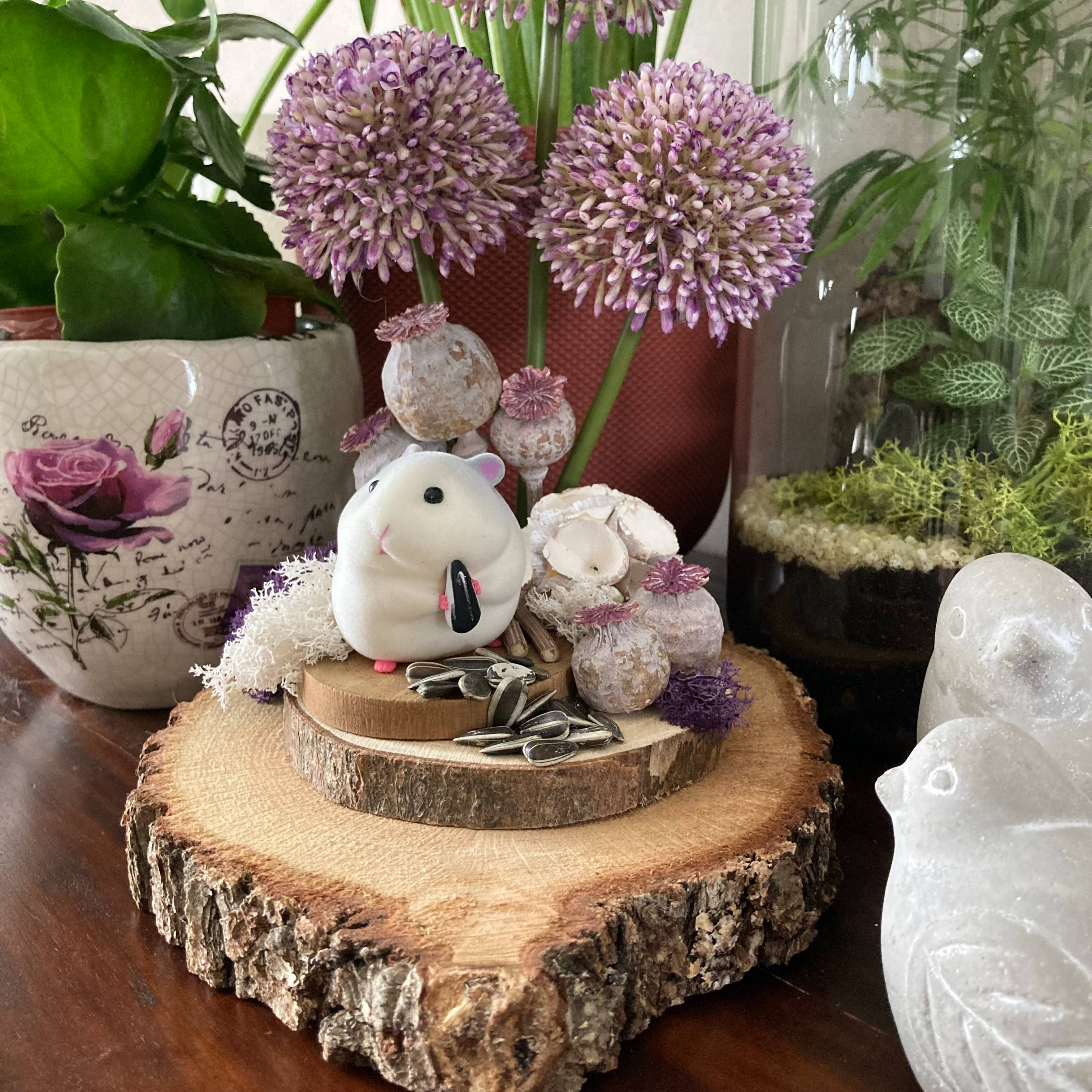 Vitrine 0b1ba8b7131ffb6e1532f9fe078eb57c.jpg