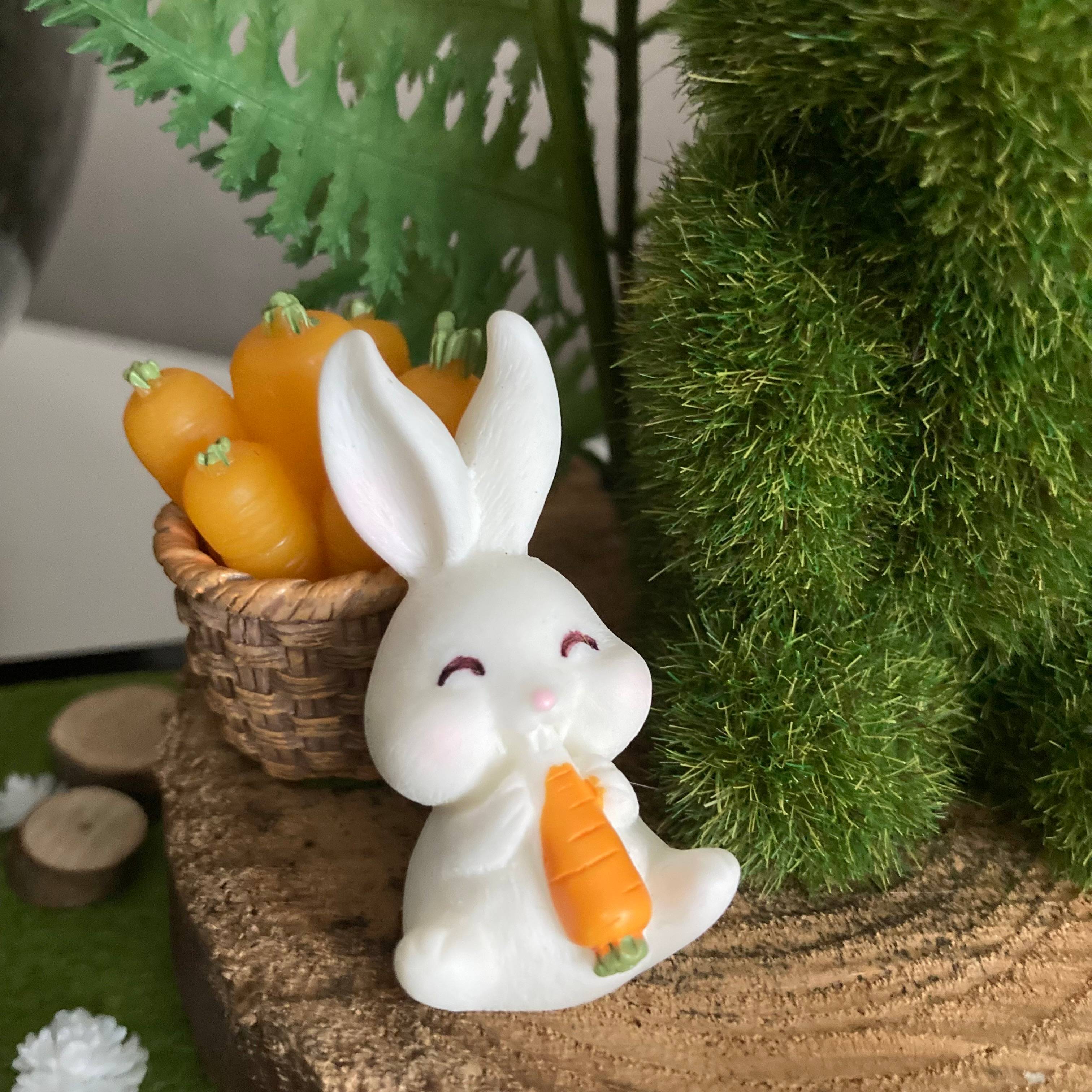 Vitrine 0cbfbe39bb8f123e99e9a475b68764ad.jpg