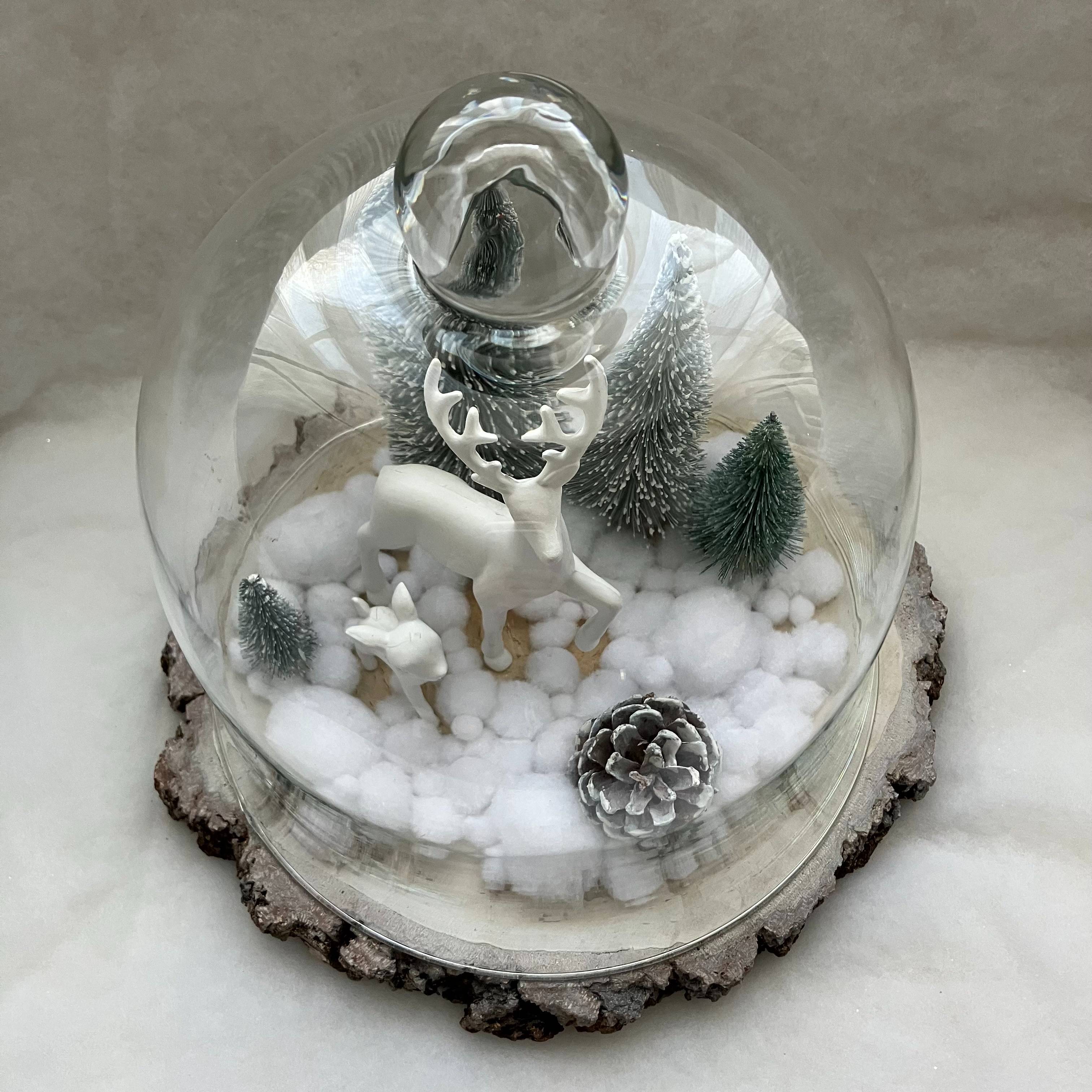 Vitrine 0ea9540394bed2984e43833b14637abe.jpg