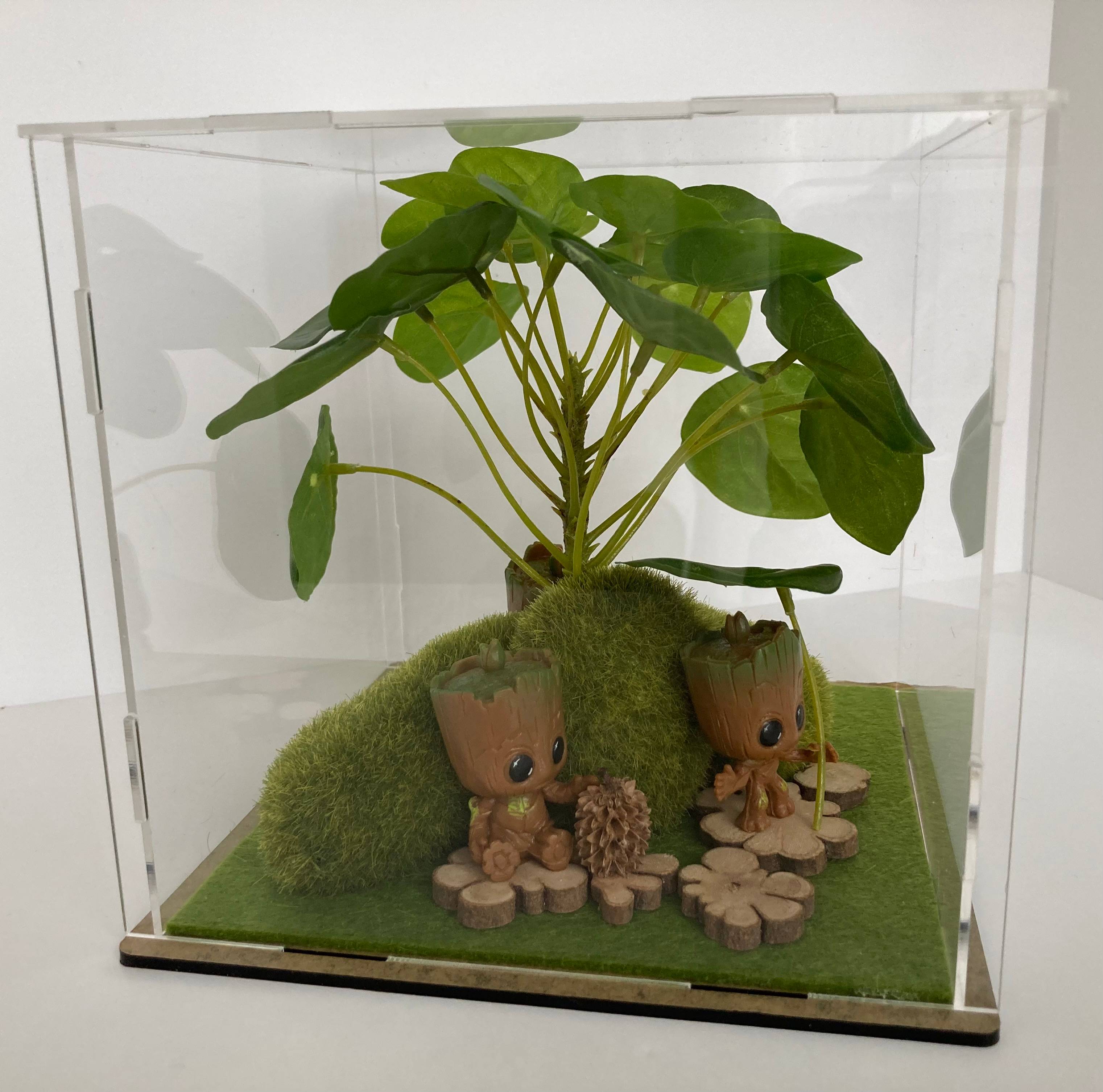 Vitrine 142d725c5380c3ca722b43d0e13d9ad0.jpg