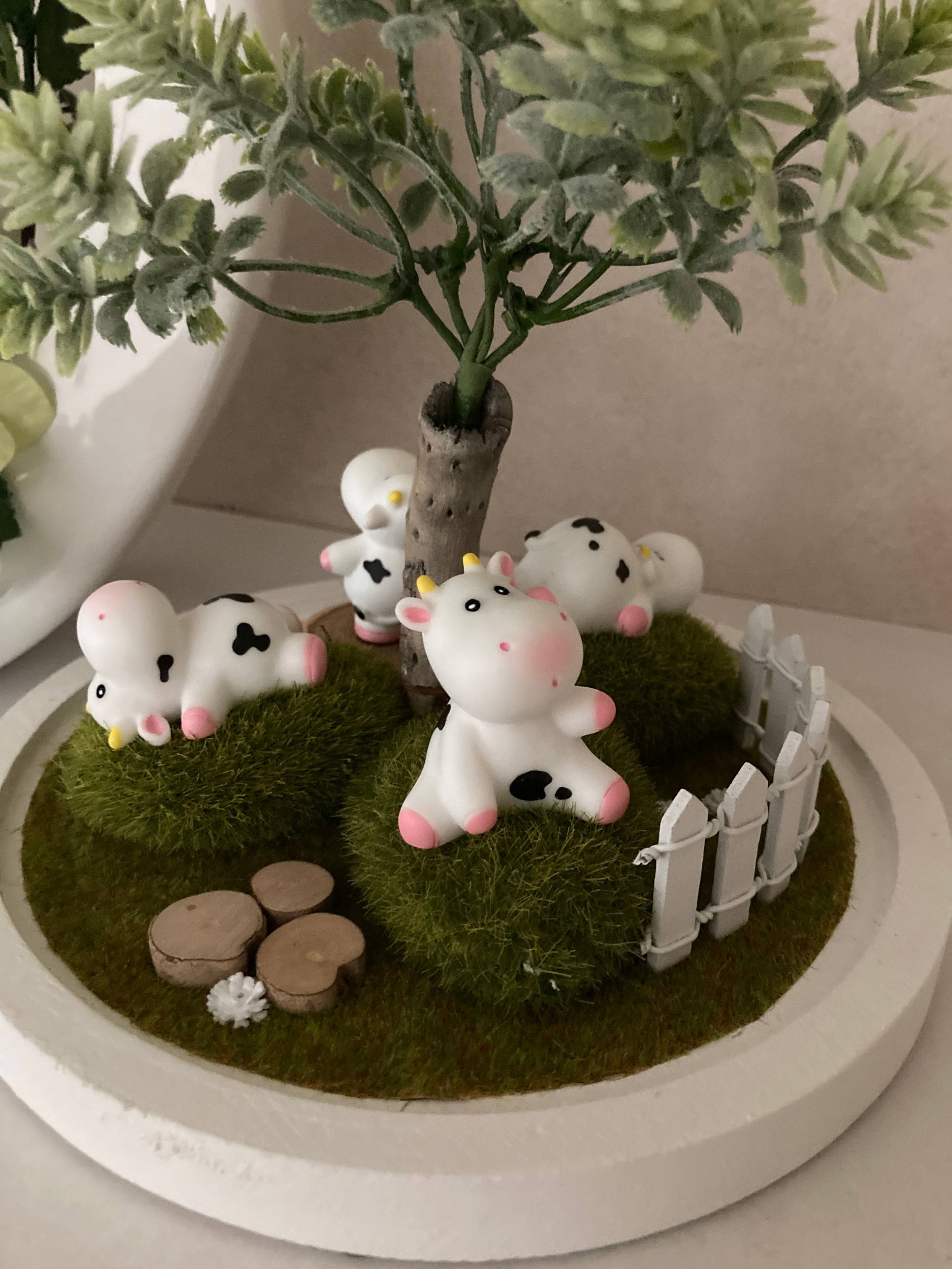 Vitrine 145ed26772d089835cc5f0a54c5db38c.jpg