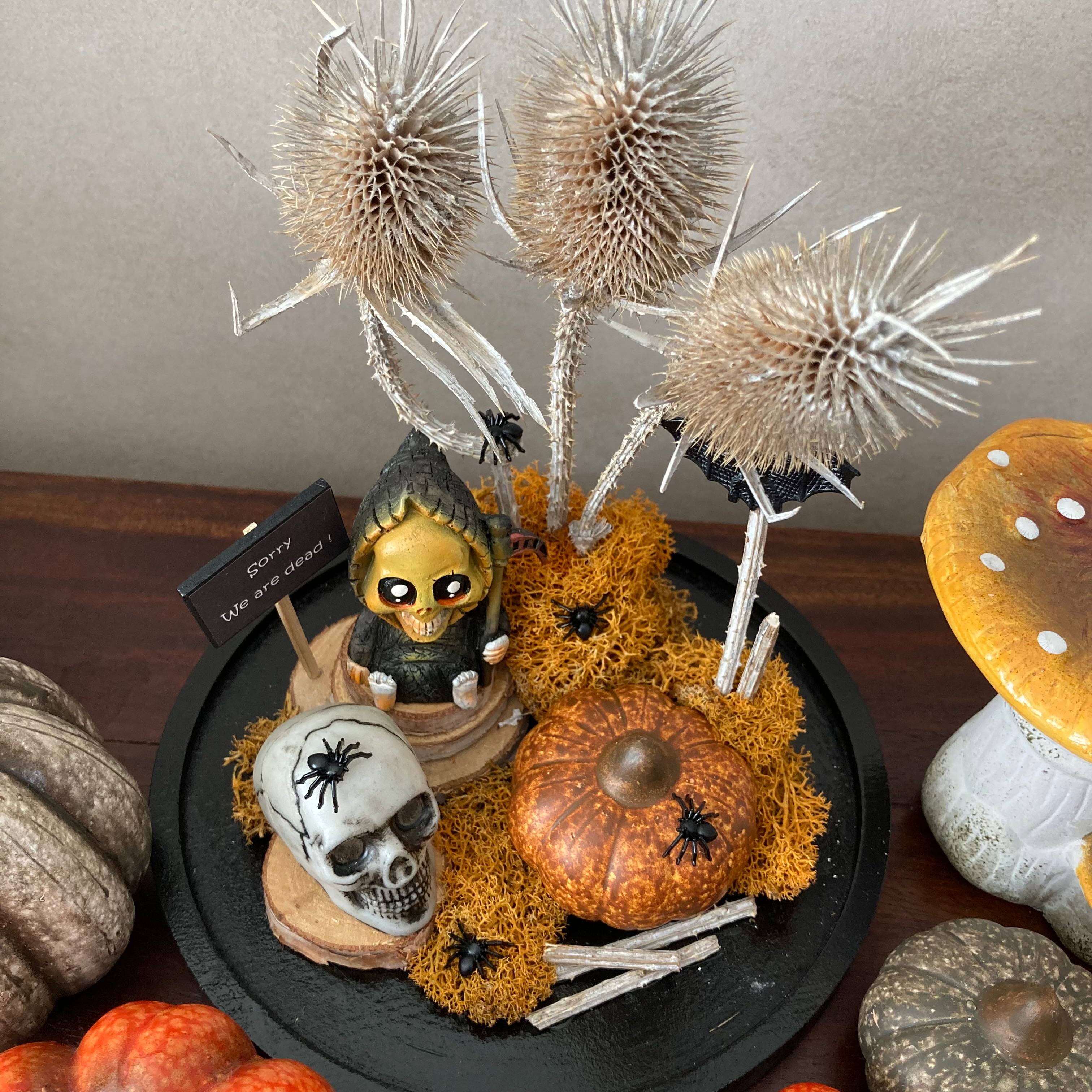 Vitrine 18c6f43def449b8f50d2d1fb0c1c561c.jpg