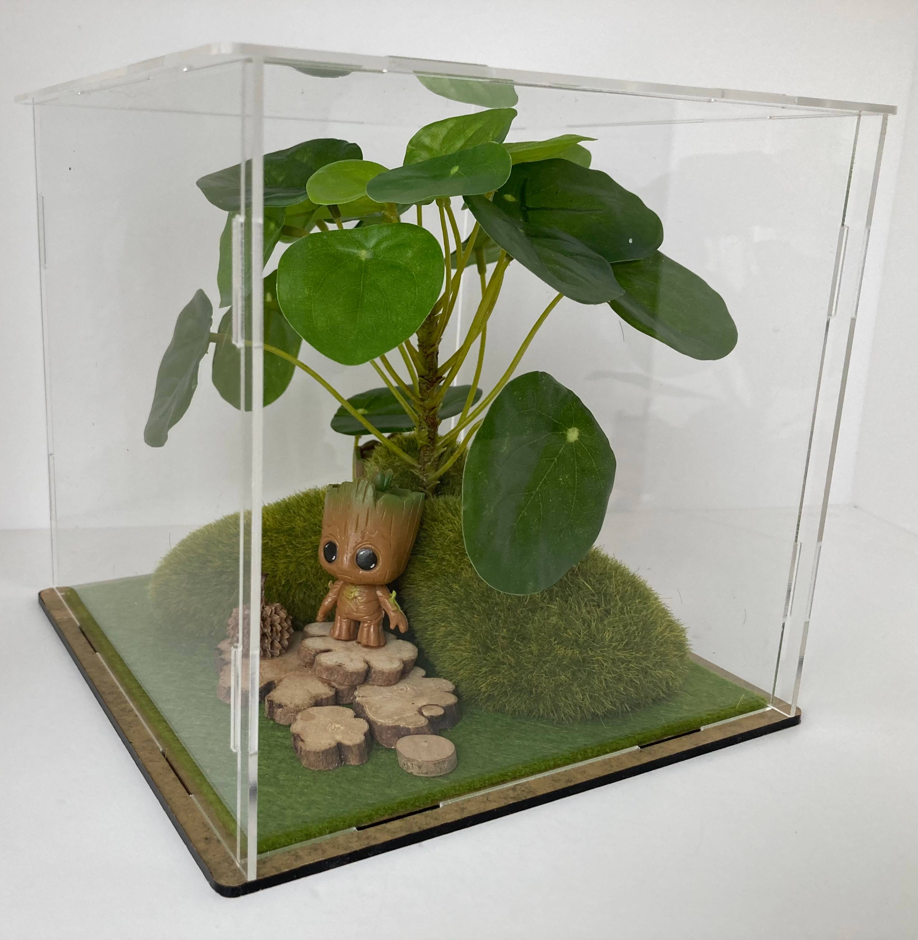 Vitrine 18f9f4e8eb12302efe246f71d21d1001.jpg