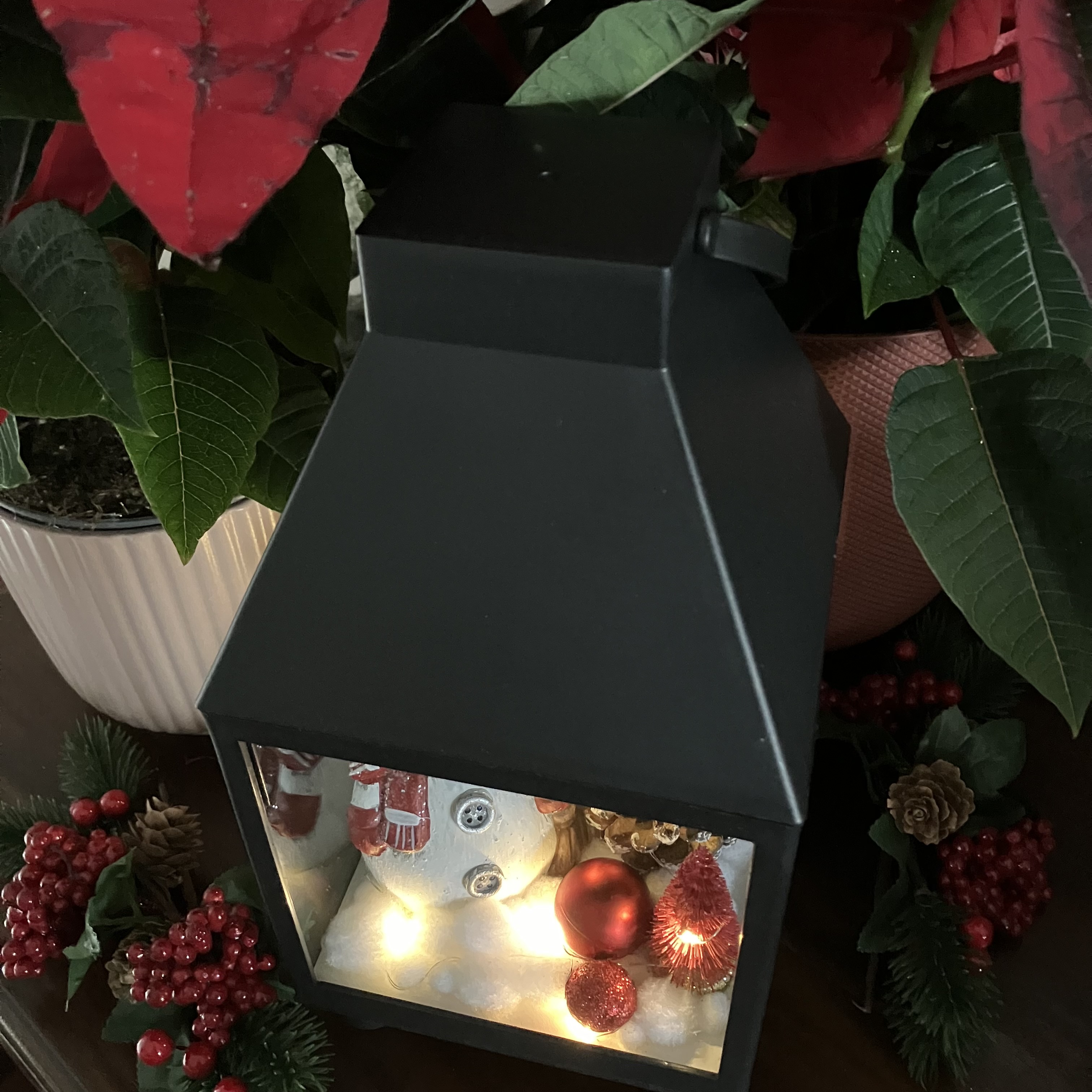 Vitrine 19545b27452988730414d5260741a7cf.jpg