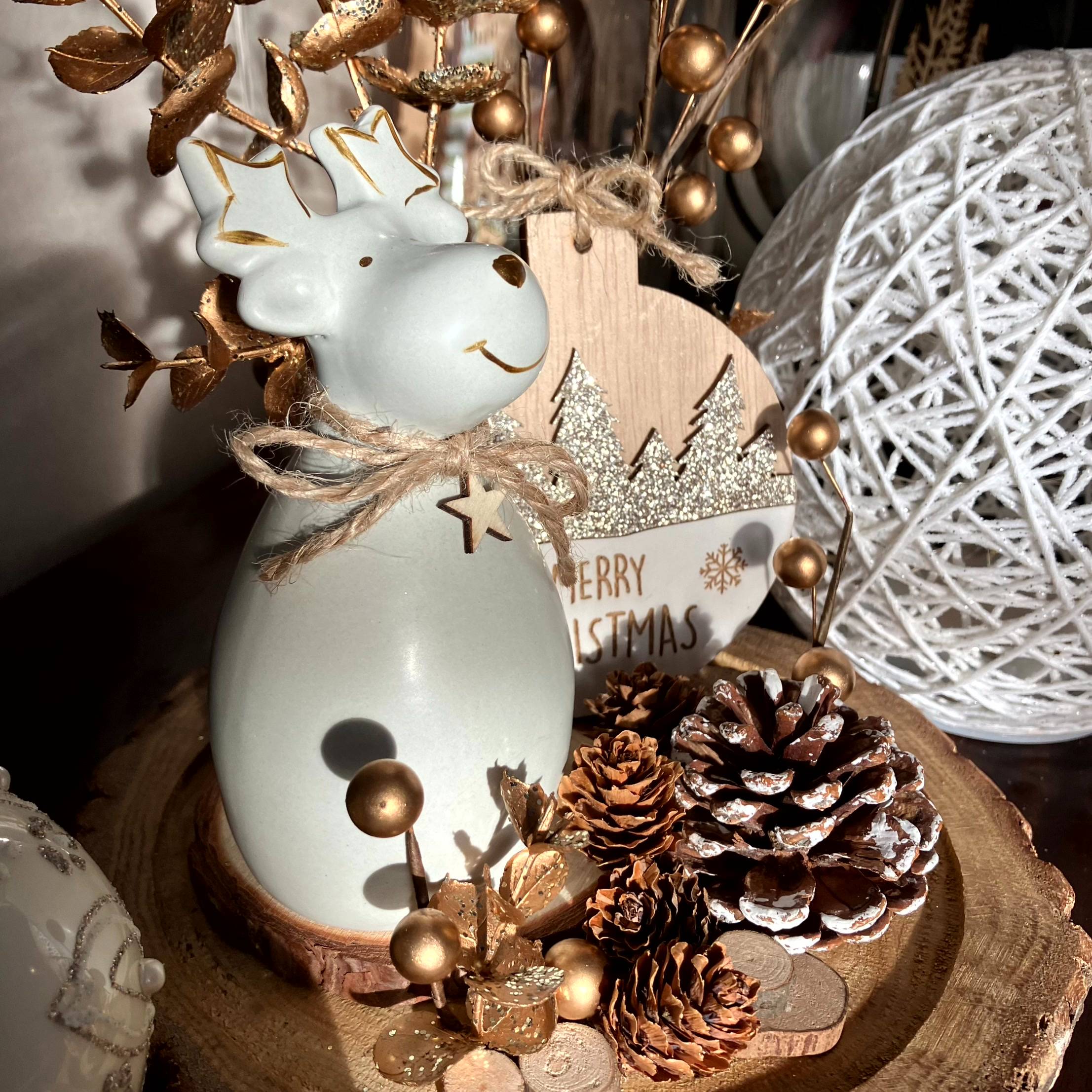 Vitrine 1bfb86eaf11d6e1cd385b9d593053e94.jpg