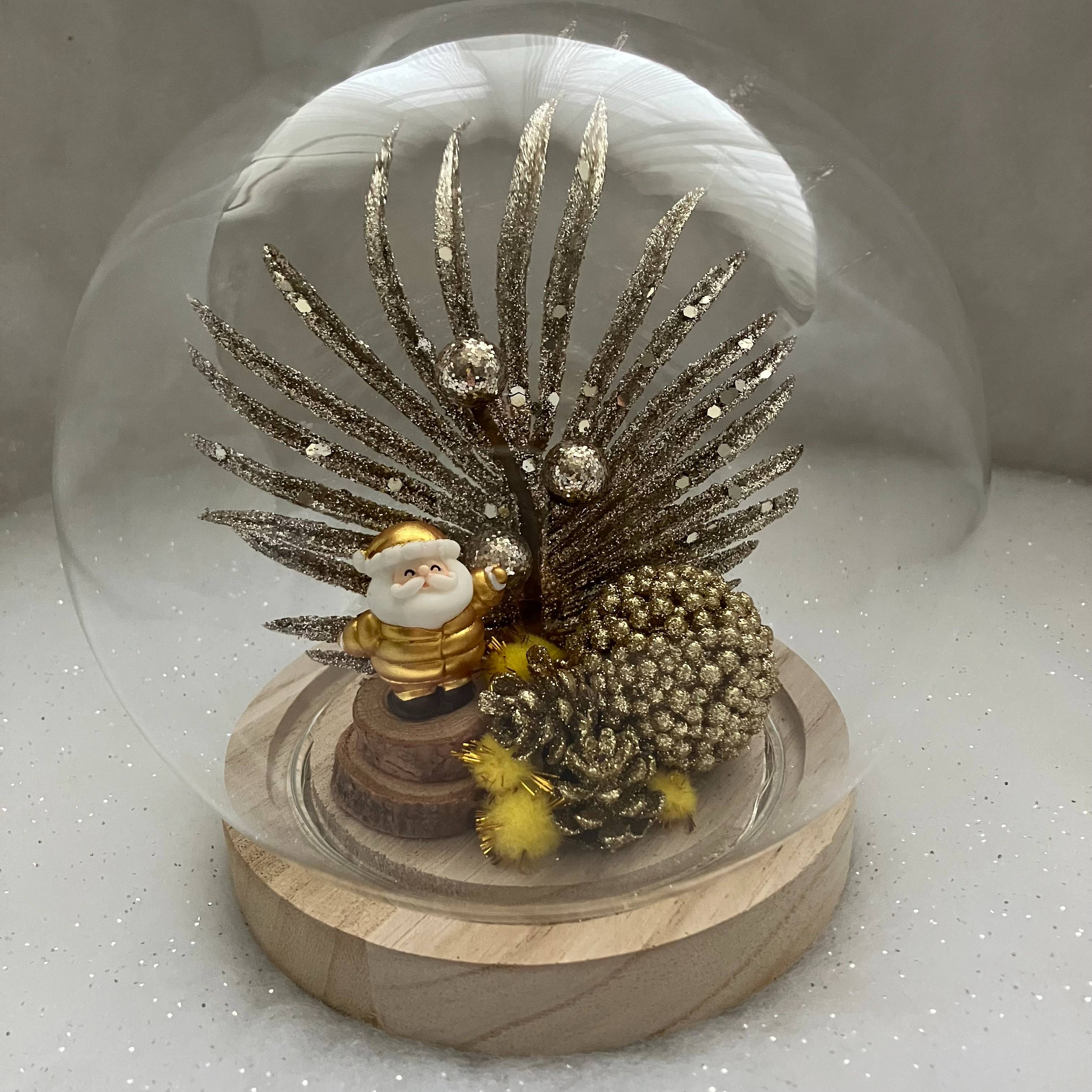 Vitrine 203527060601bee309f71e82371943d4.jpg