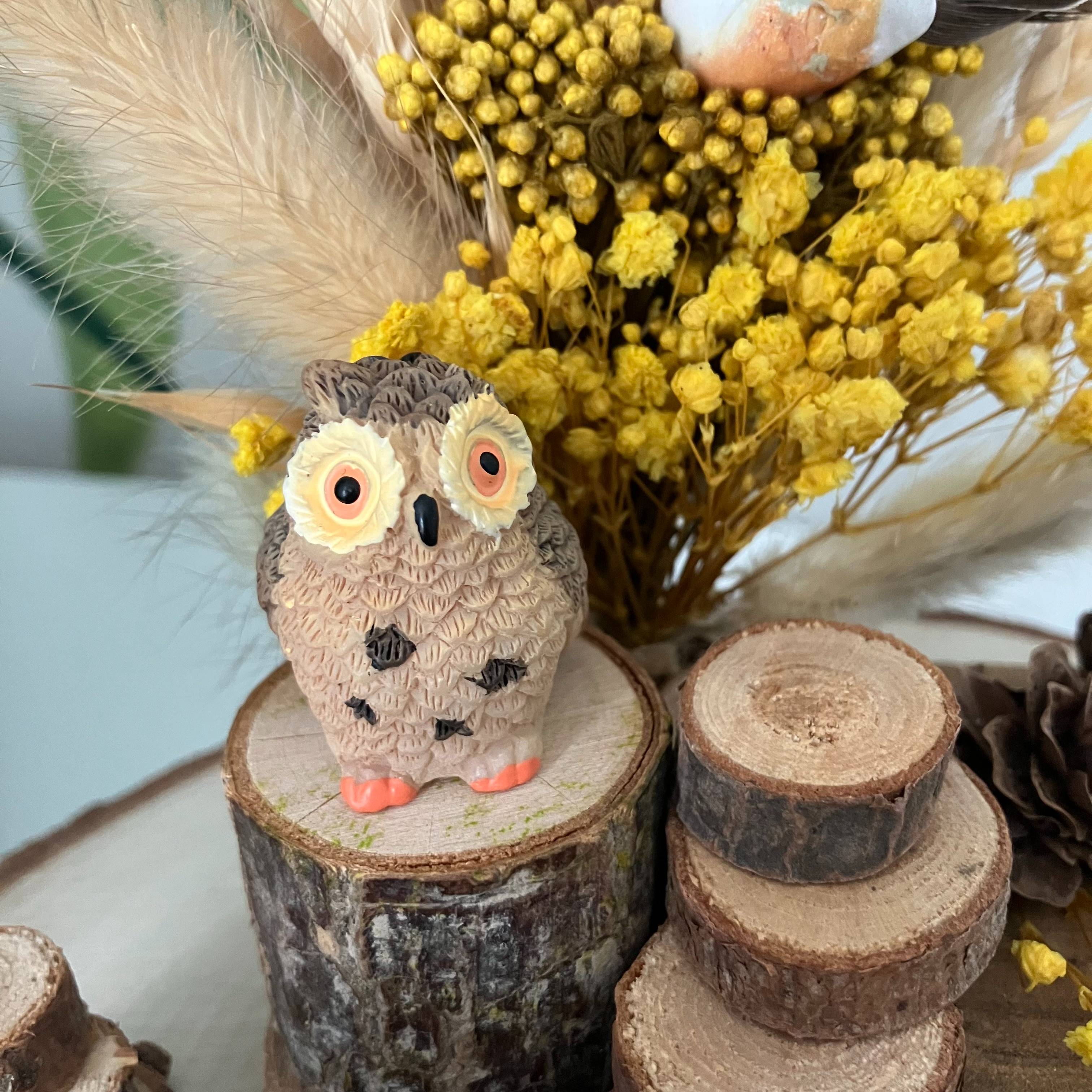 Vitrine 21f1c6400c1c9196731a73197b868508.jpg