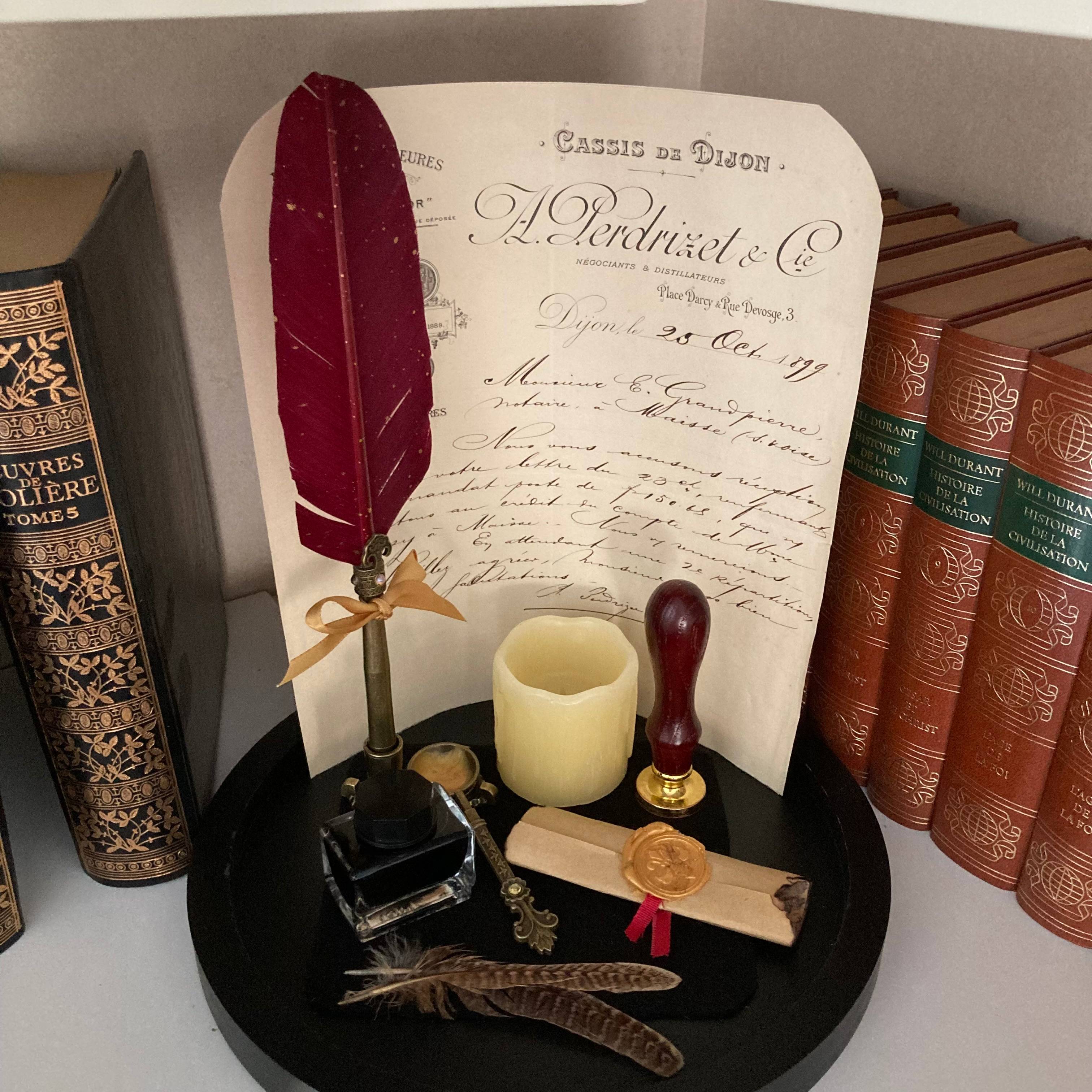 Vitrine 25e58447684fe0ee5d2a543e0e19b7bd.jpg