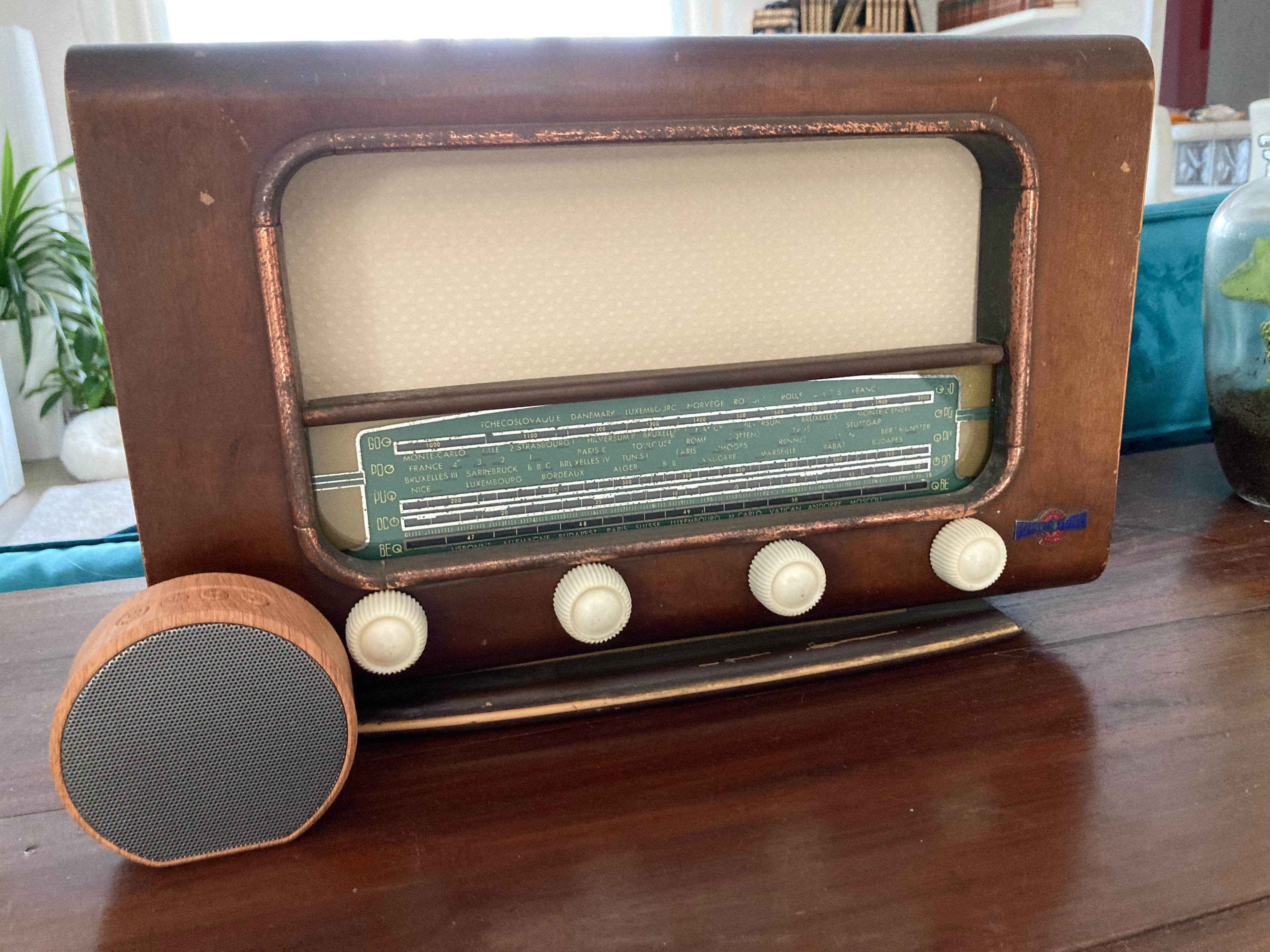 Vitrine 2dd26ba6e4ec0a31cd9a612c67ddbcf7.jpg