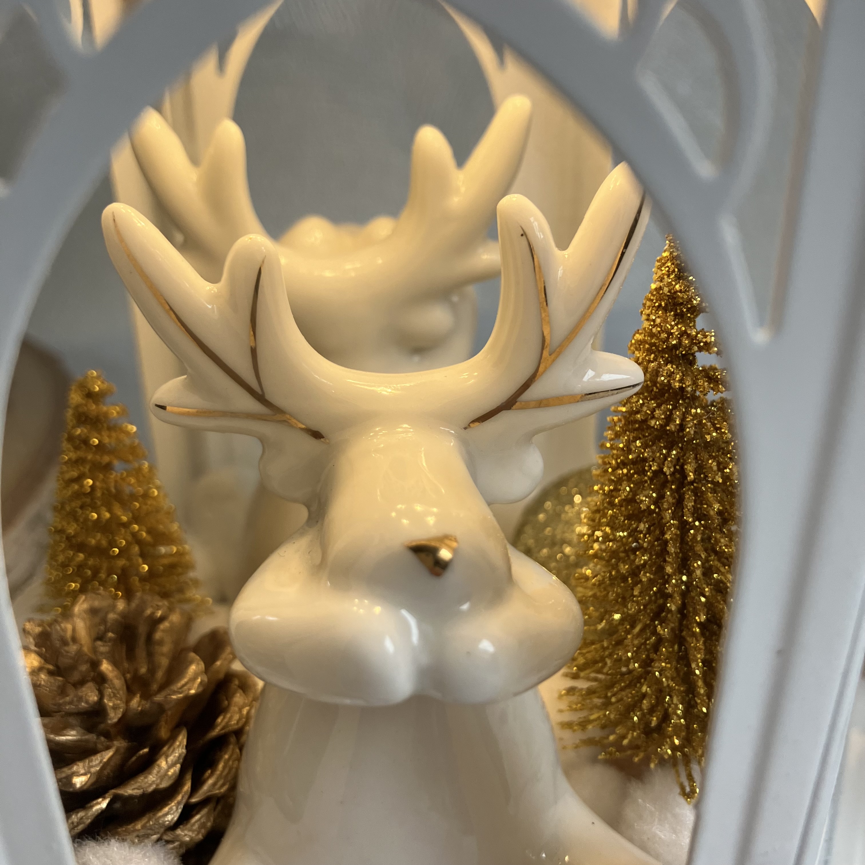 Vitrine 2f7813d1eaddec3c4ea132788842ceb4.jpg