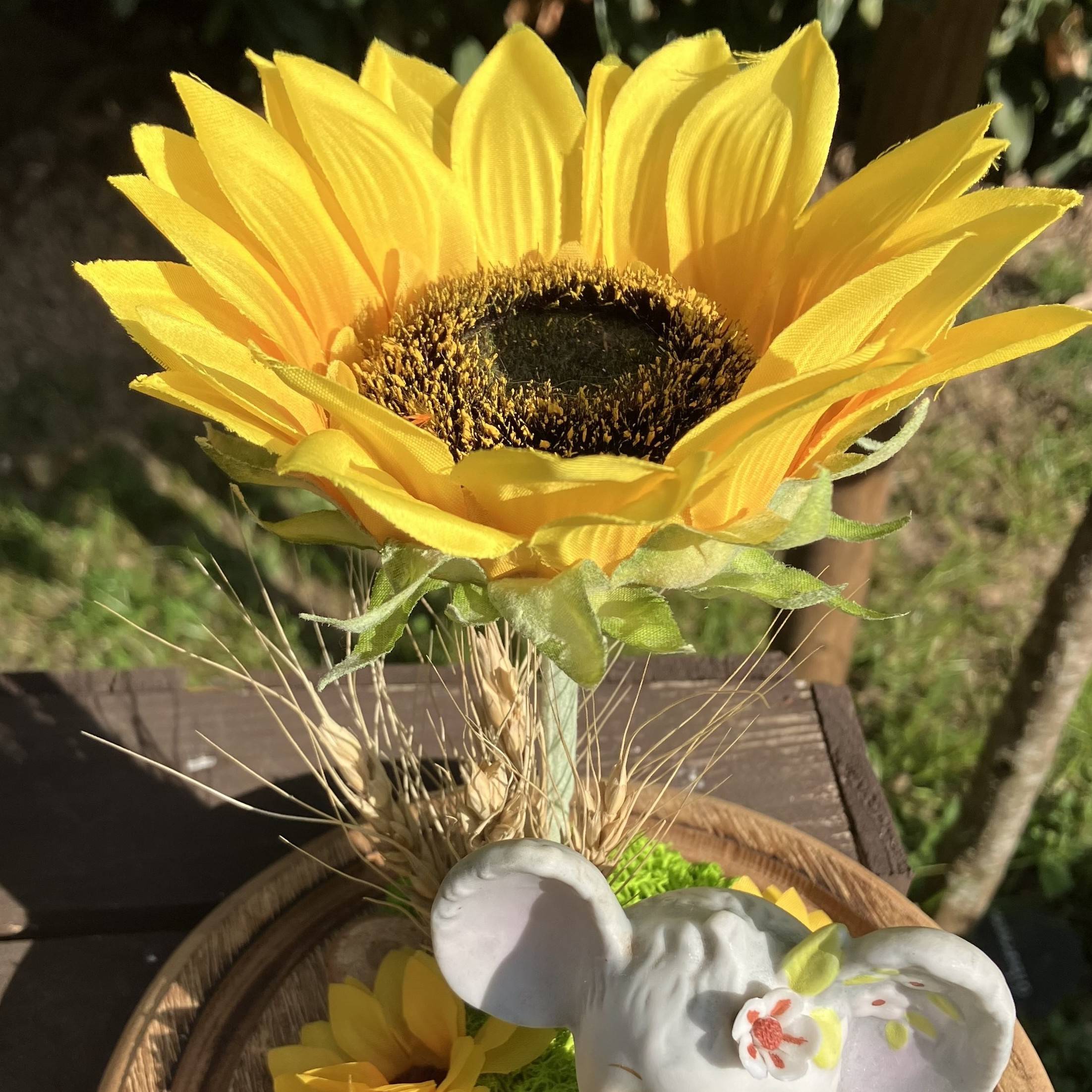 Vitrine 305a6c6b29f808b61791dd1cb624e729.jpg