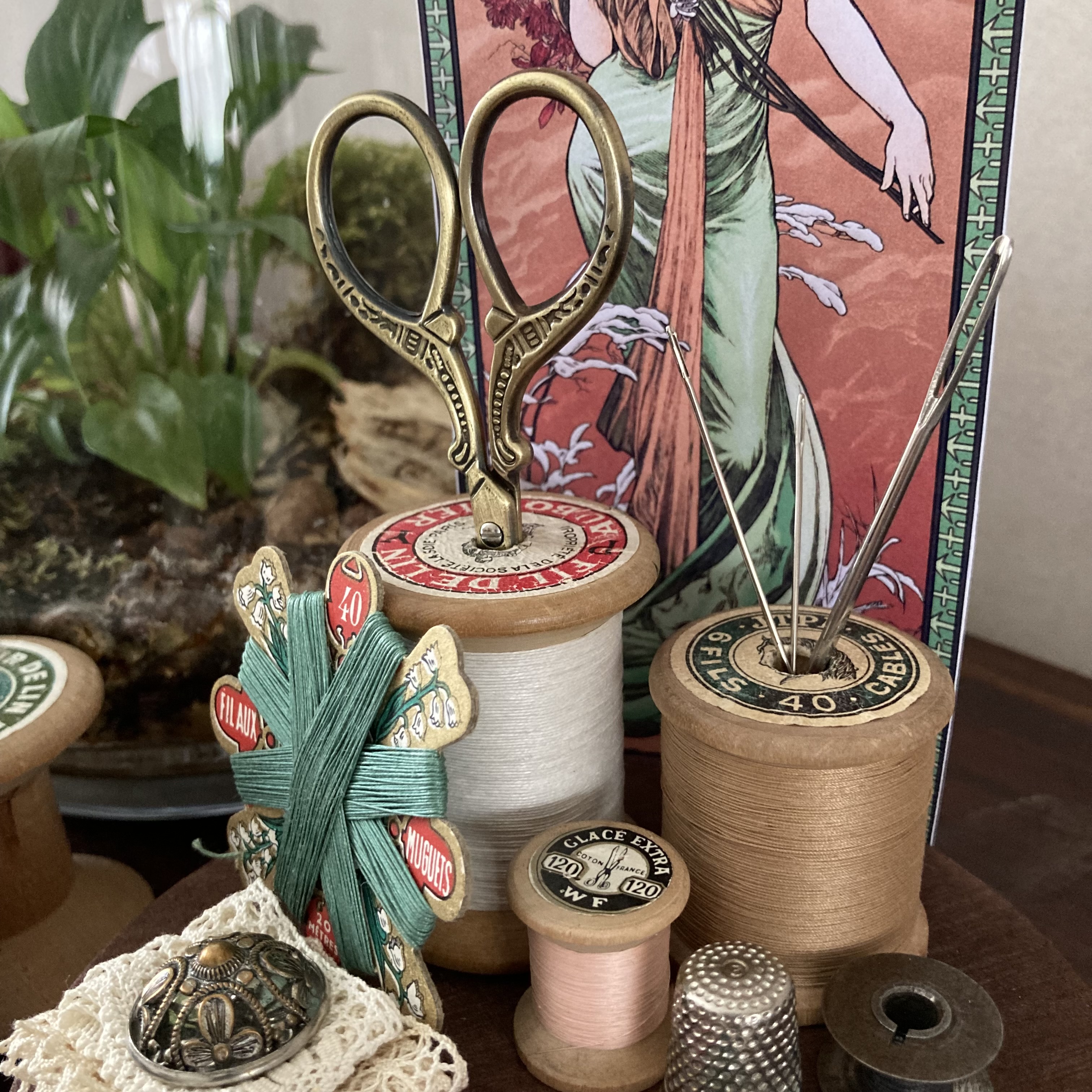 Vitrine 3574cc0880243e57768a800a461bf702.jpg