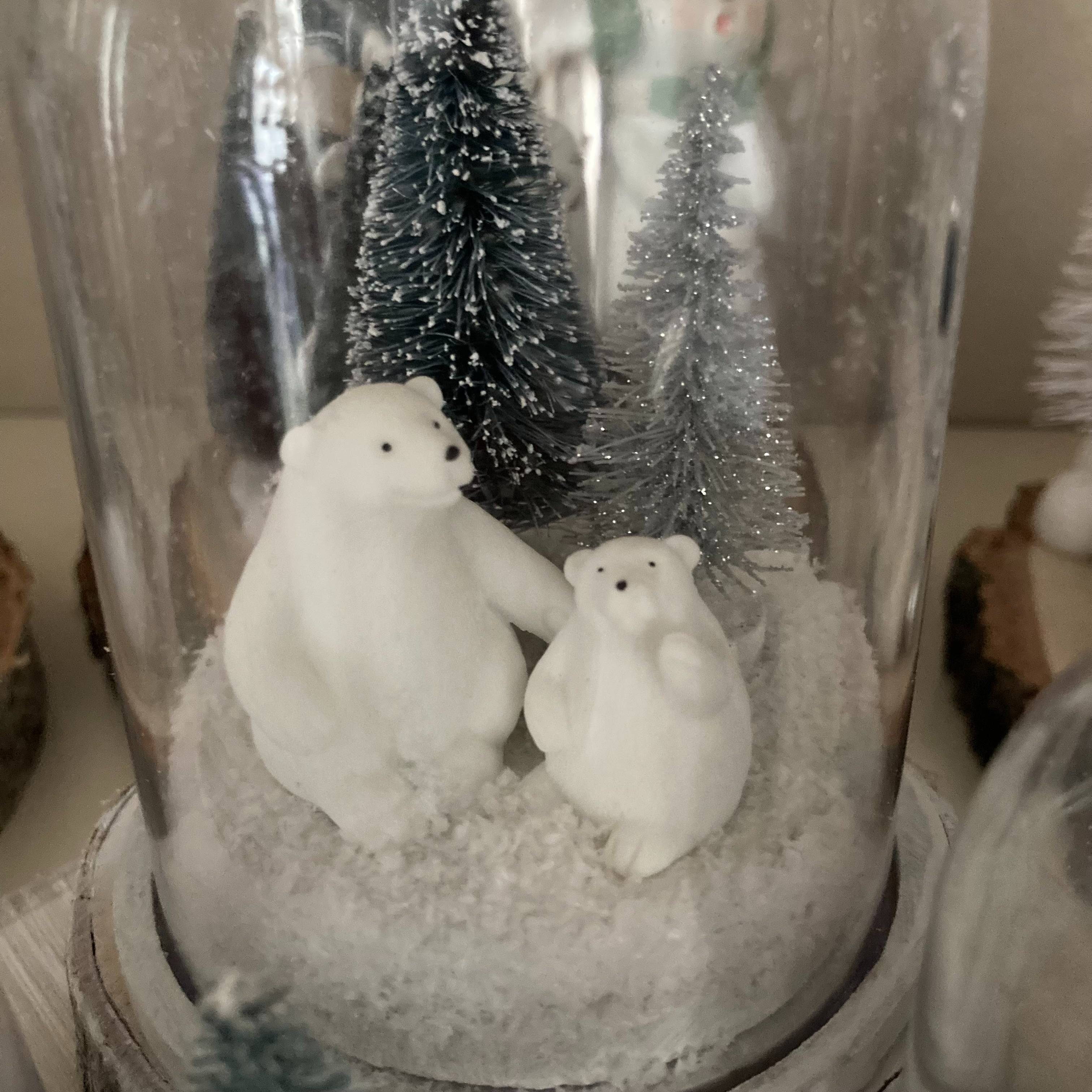 Vitrine 36d88bbfc3331a8976af3aaf76d76171.jpg