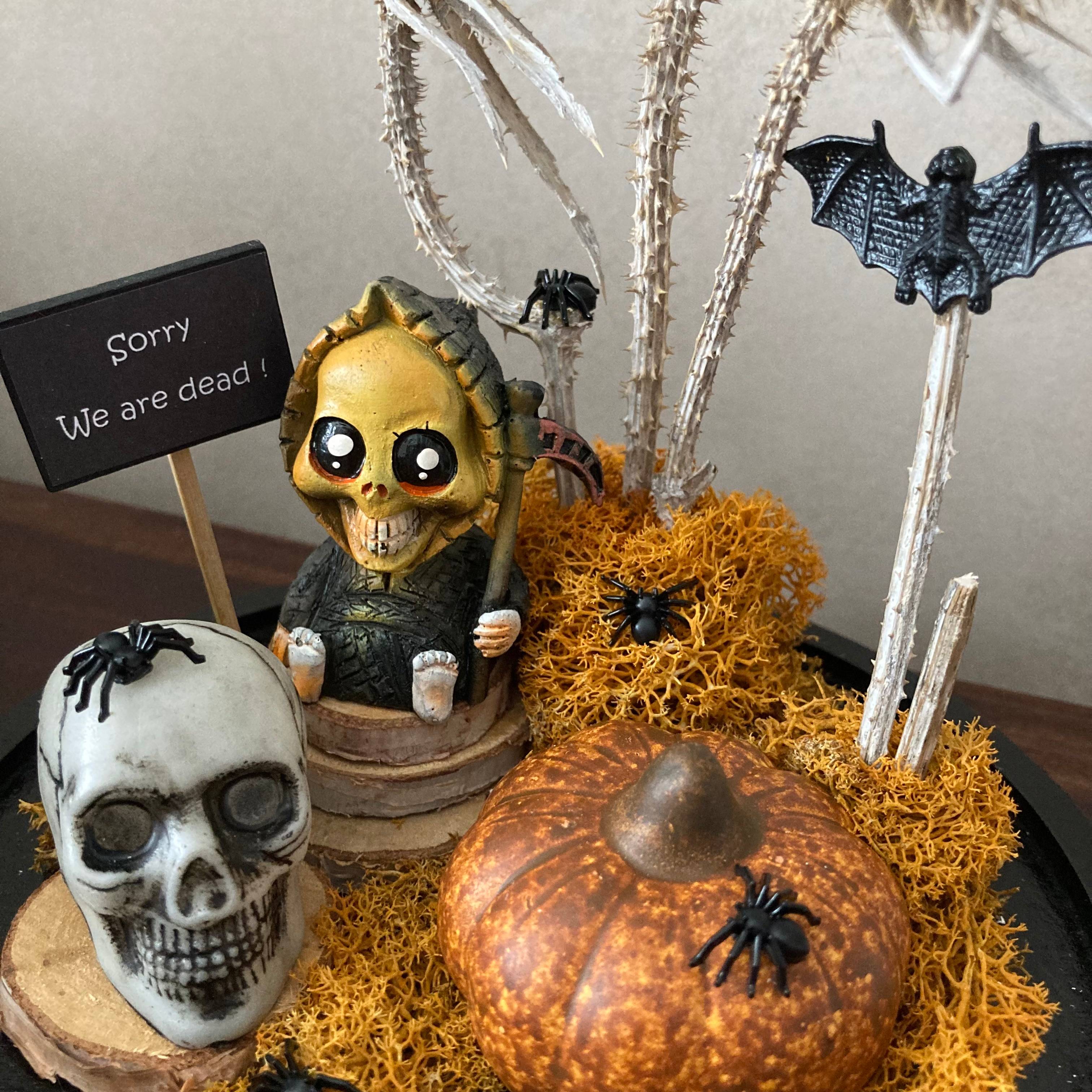 Vitrine 38317ef2a8637c6f3d1788e6129a77b0.jpg