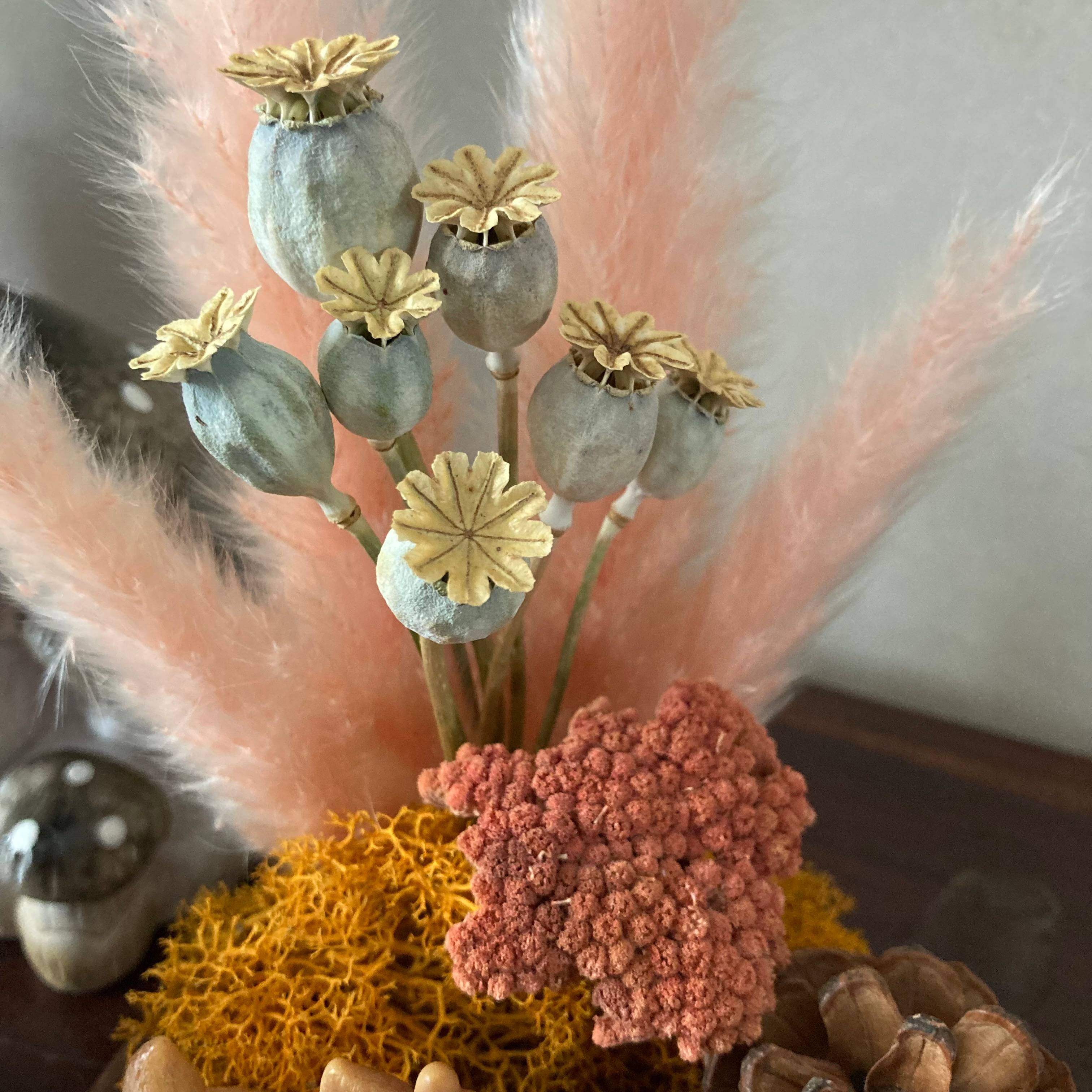 Vitrine 3b6c6369e0073c2f0ff8cace9b78721e.jpg