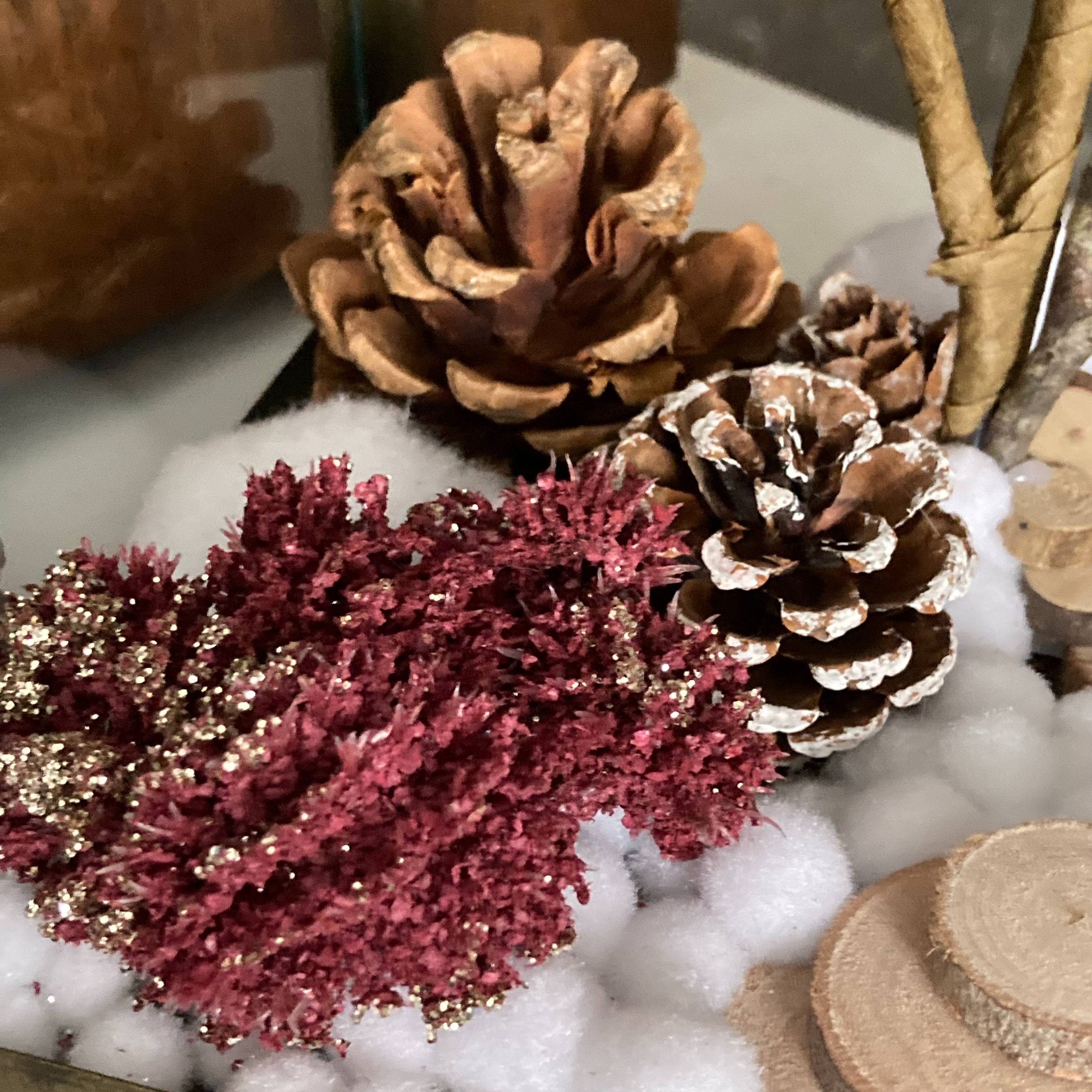 Vitrine 3e3bb2dbbcc7ce94f74c59e03426d084.jpg