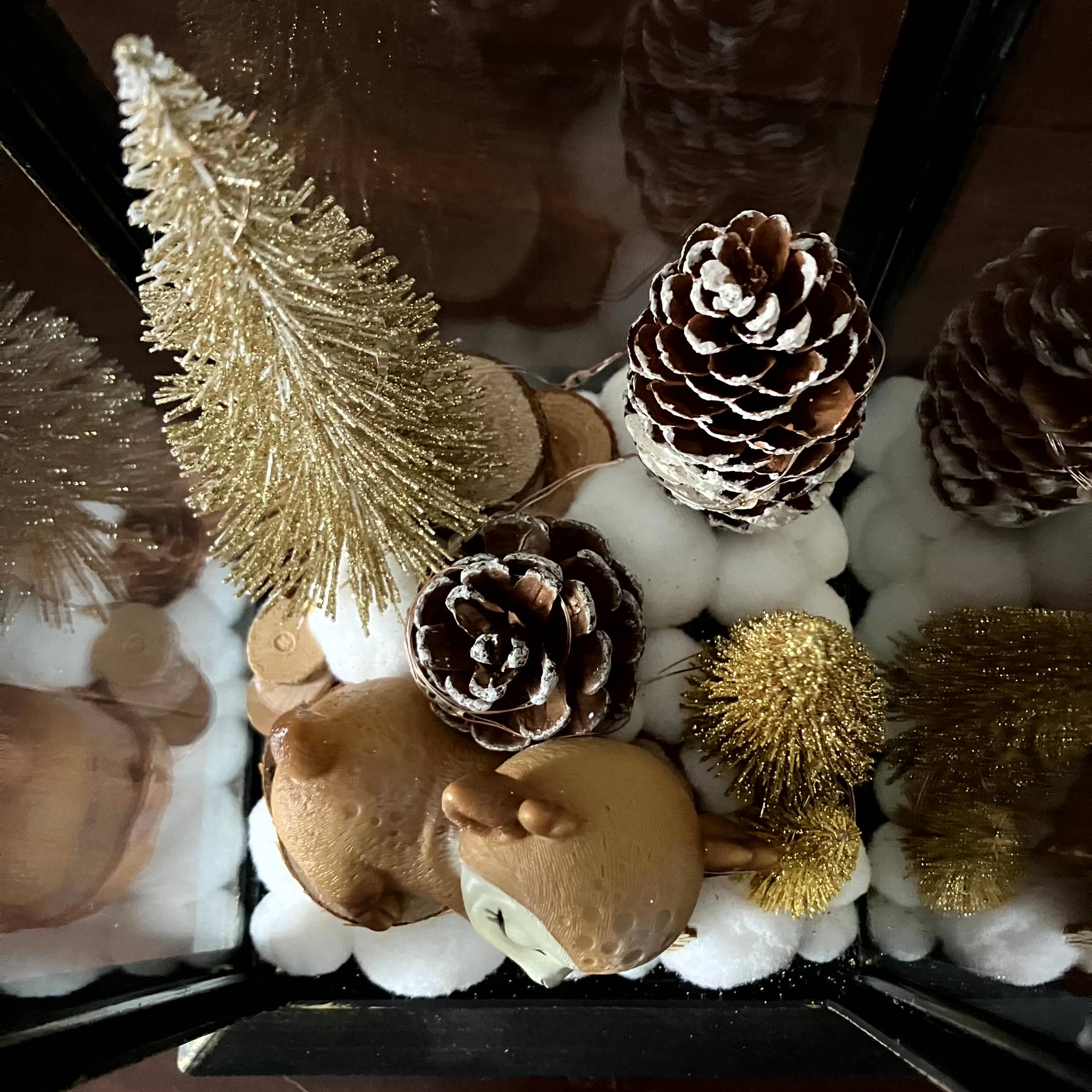 Vitrine 4030ec2eb8399a1669b130a9a17cce48.jpg