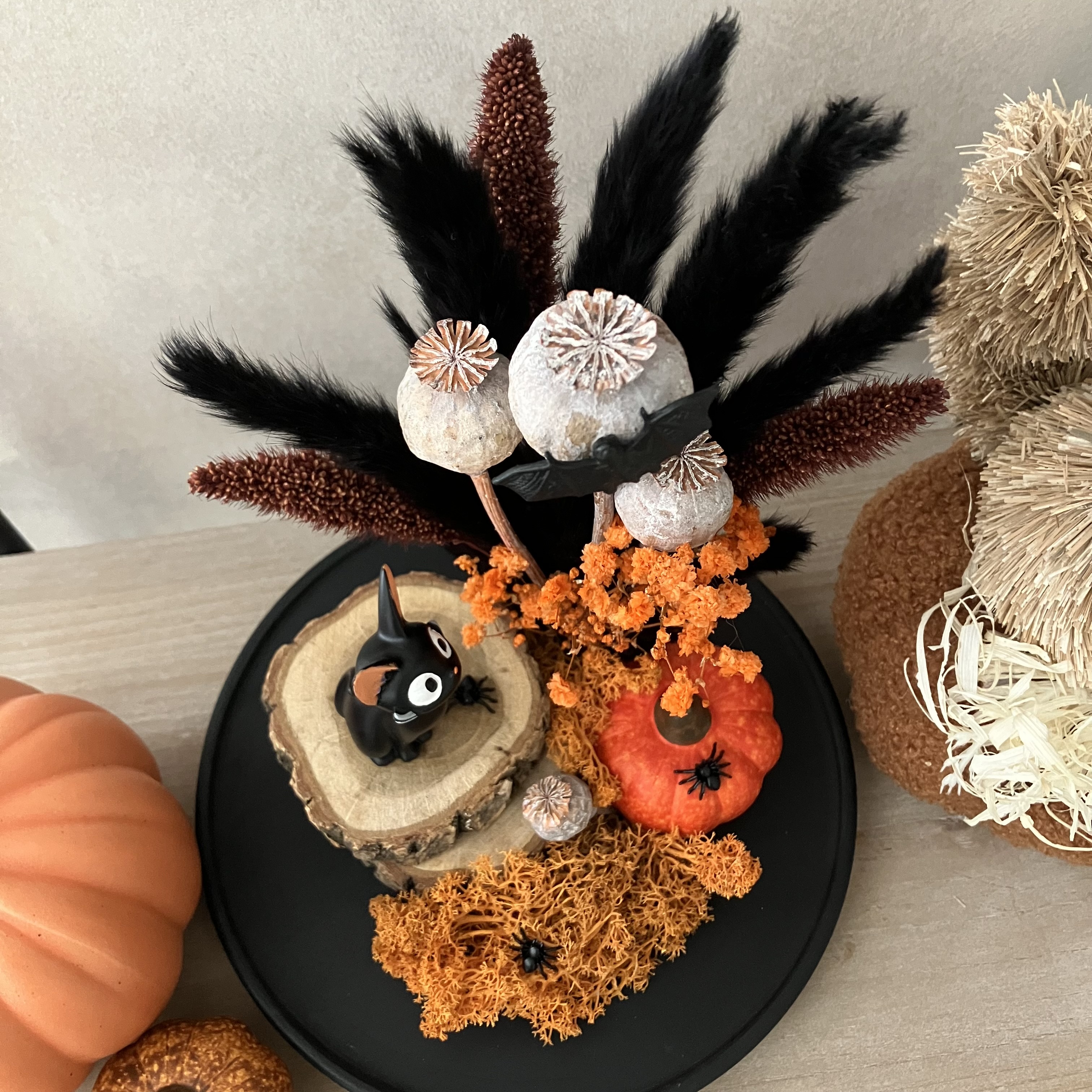 Vitrine 4083620c36dd6026d8920cd17c2f16ea.jpg