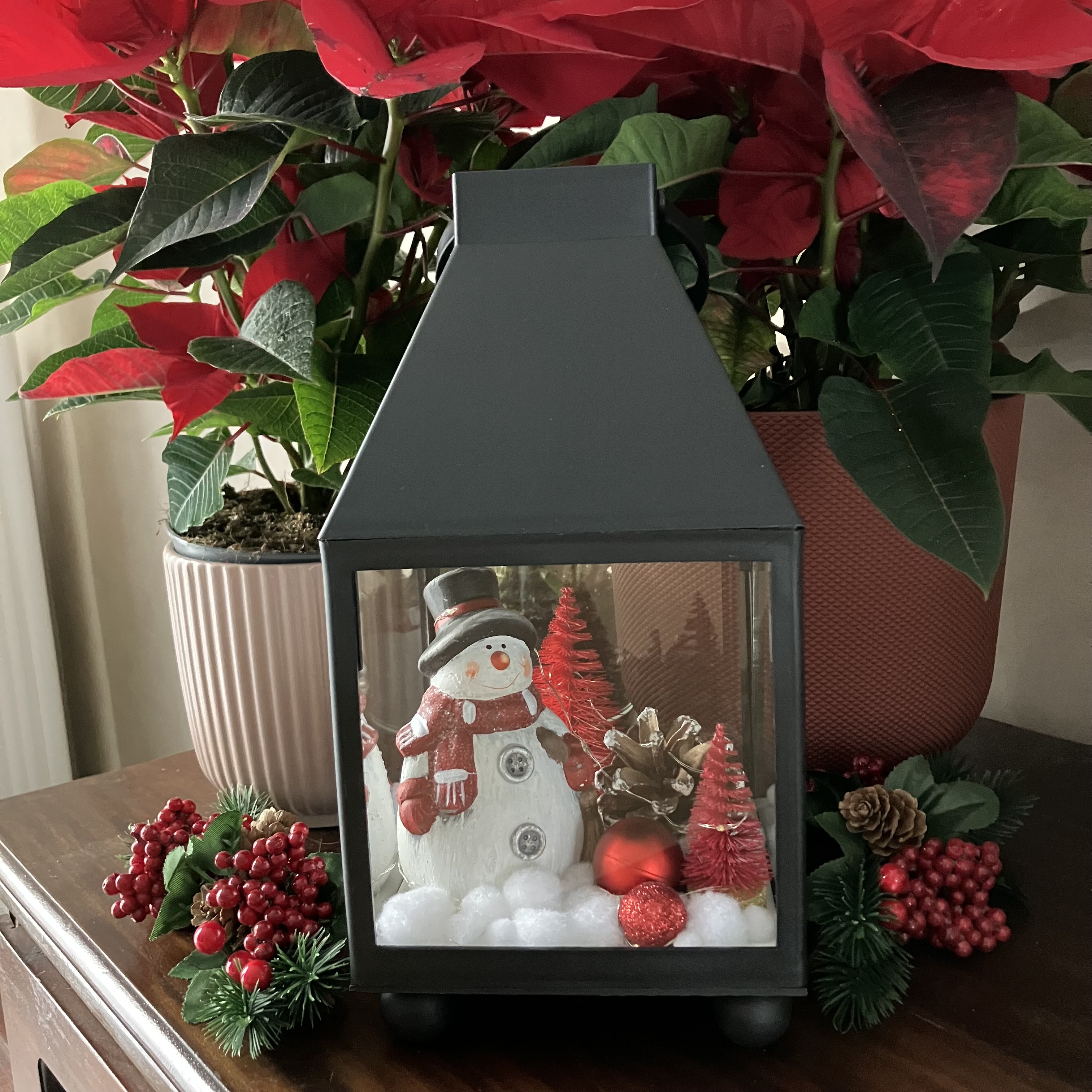 Vitrine 41a16797023644aa5aa1ef5628d162f8.jpg