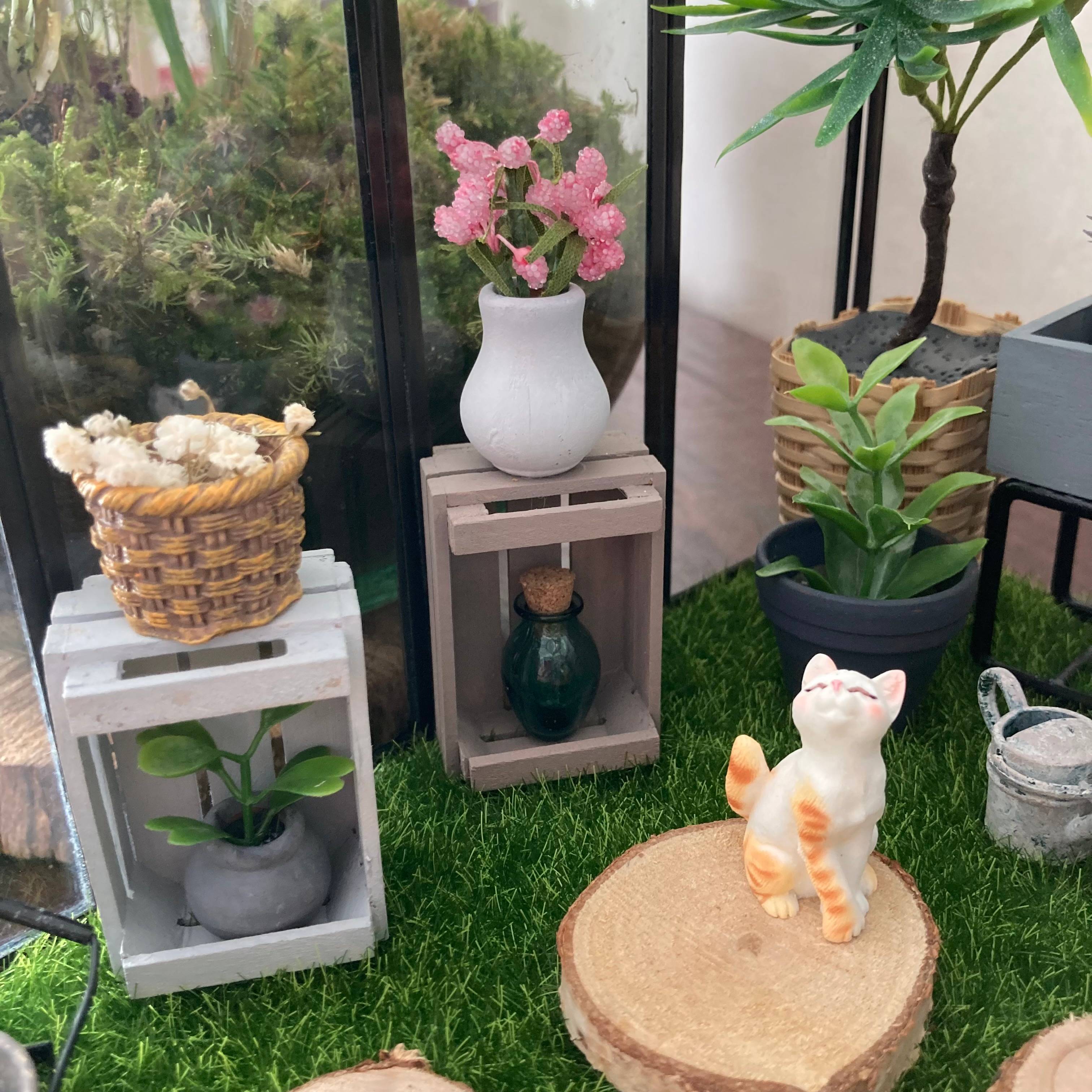 Vitrine 4a12b305a1e35c0b71687de8a30ee49a.jpg