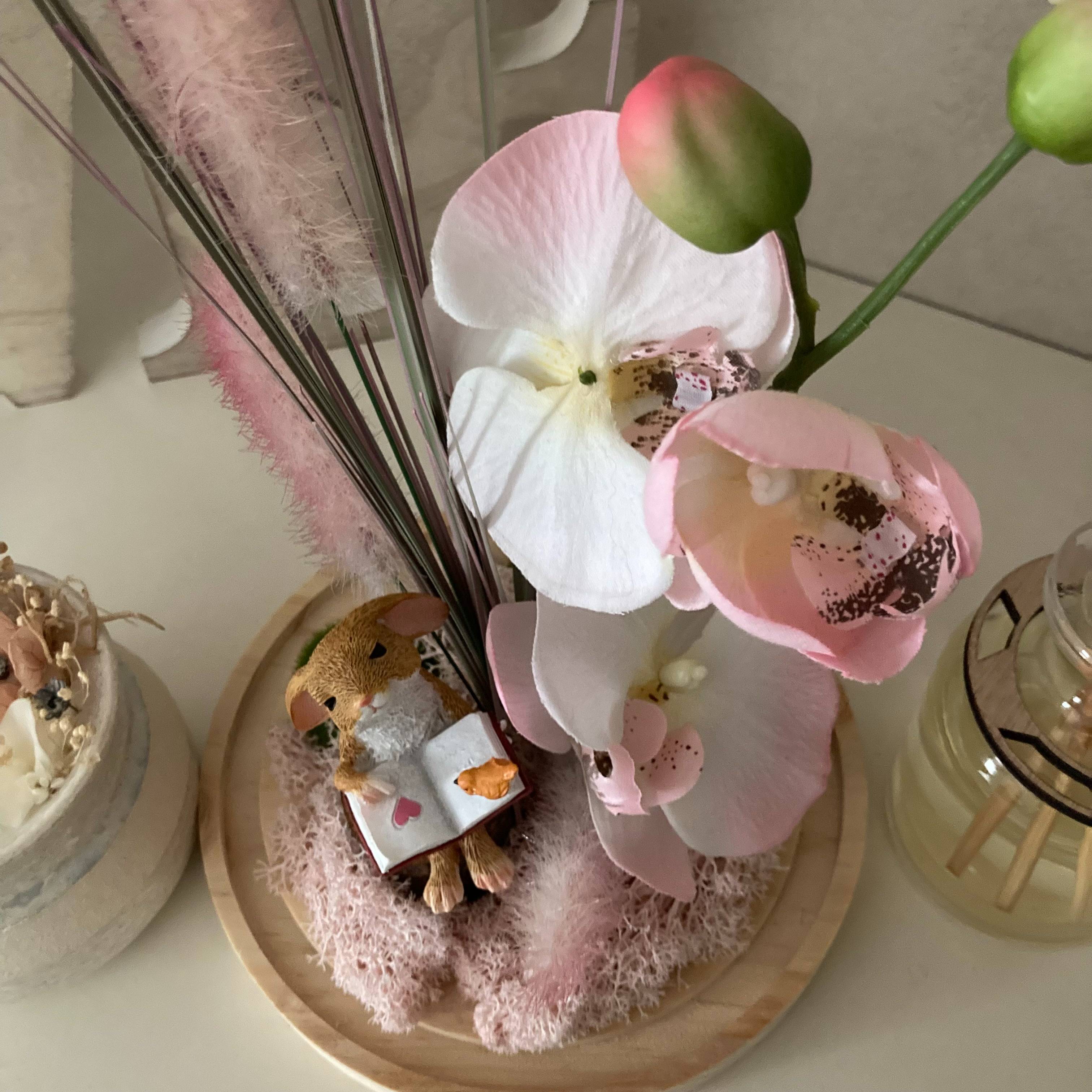 Vitrine 4b188ec0b6df855836330a41c41948bb.jpg