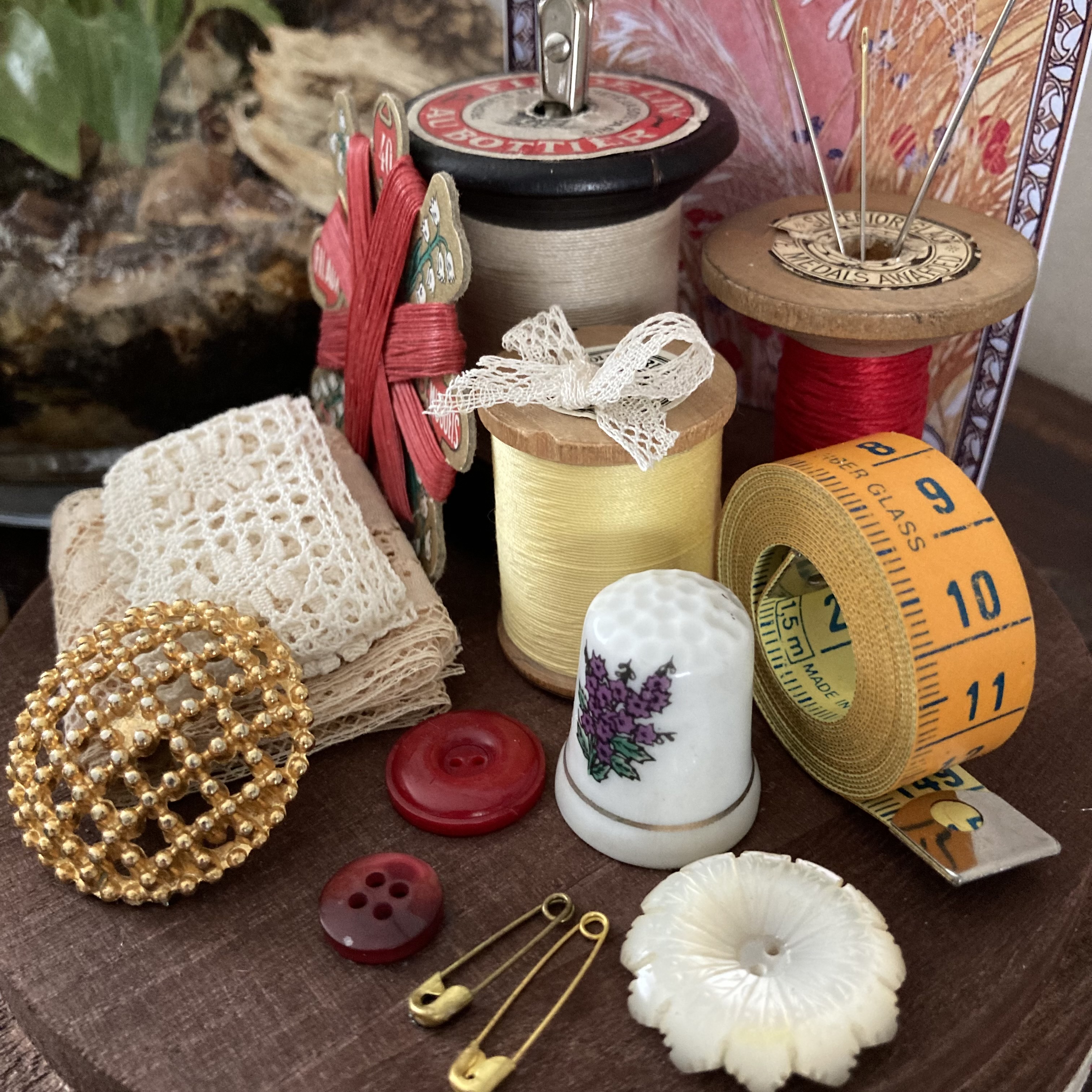 Vitrine 4c086d097aba75a6b1bfdd8e031b472c.jpg