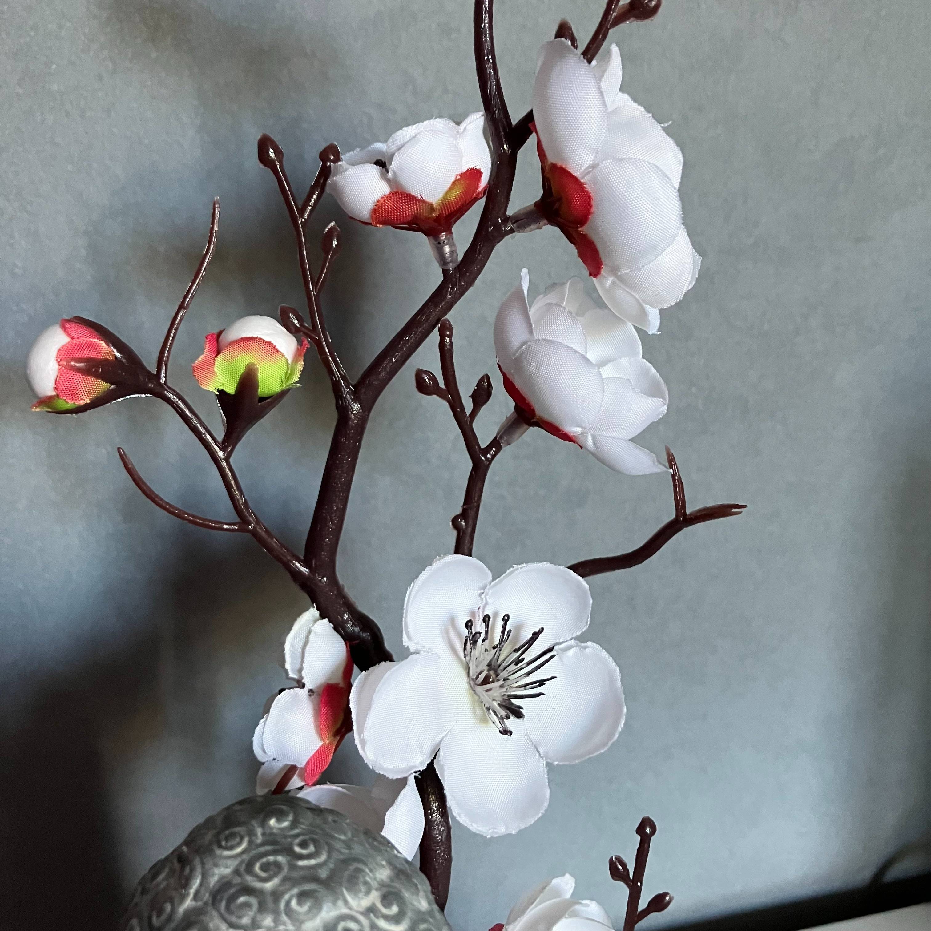 Vitrine 4dbce4ef033009641f59d28c14ea126a.jpg