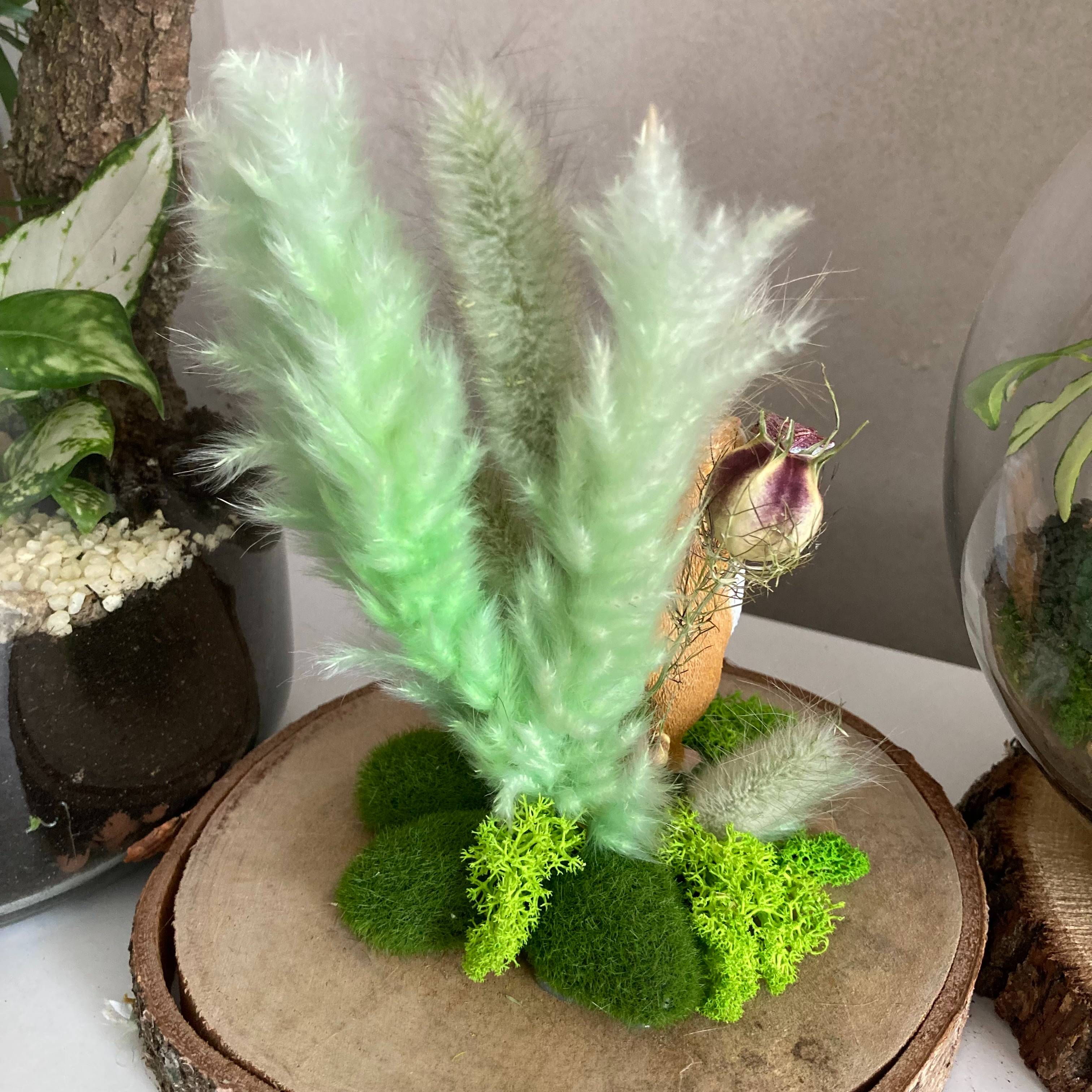 Vitrine 5040bf86b10f33c7ffbb2bce7e5e8338.jpg