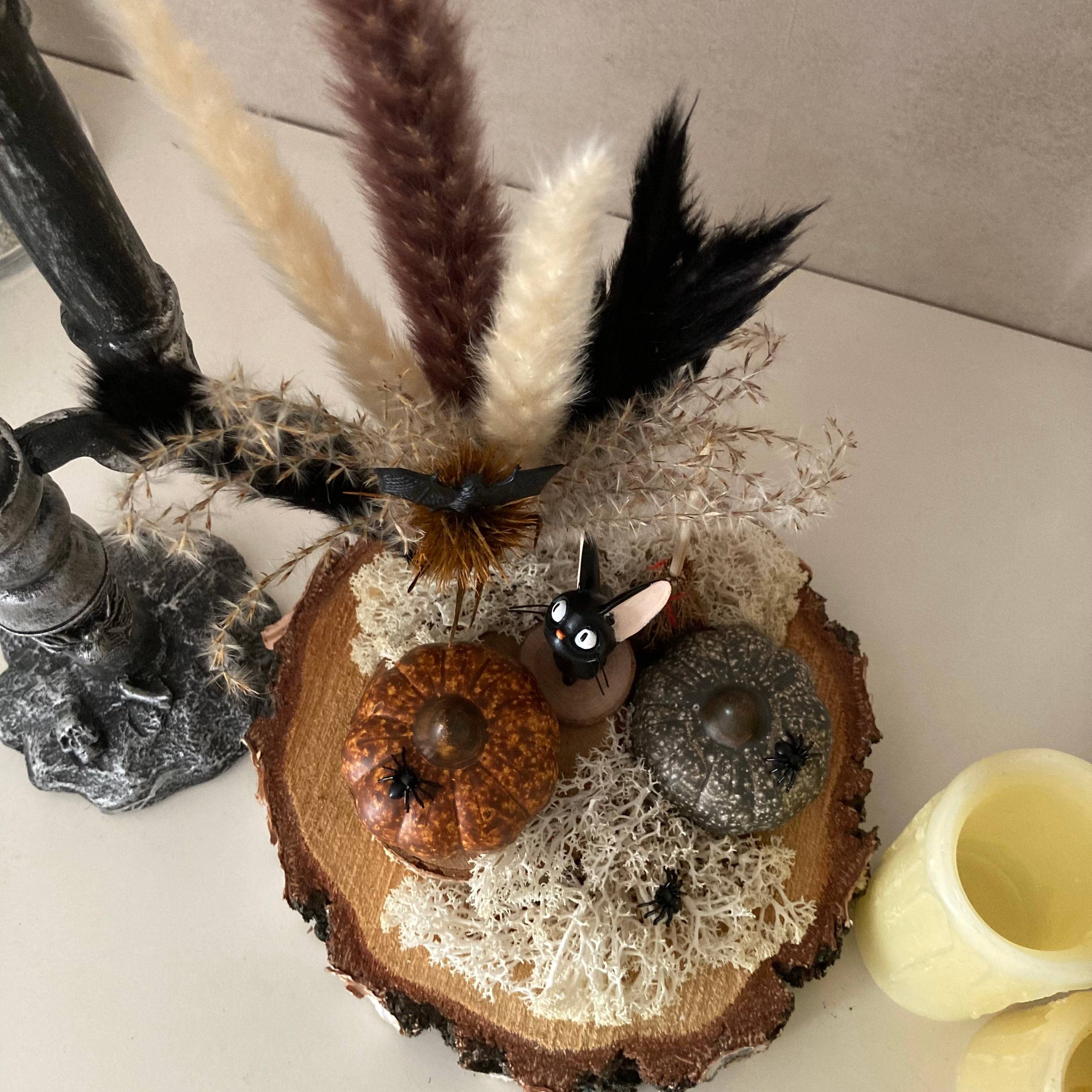 Vitrine 521a494fc693b543858c3d9a98f7bfdc.jpg