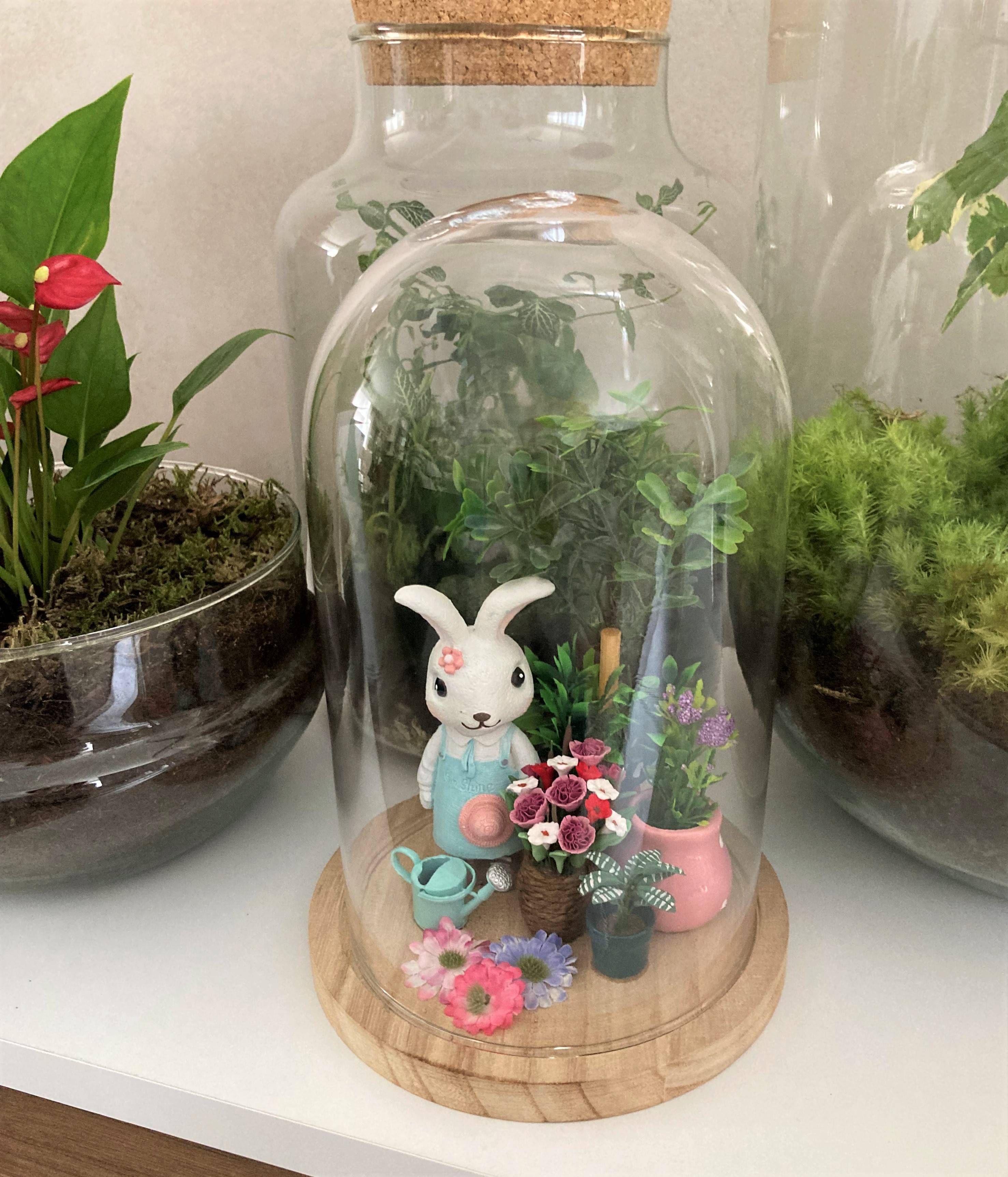 Vitrine 52565af97b2a649b6dd5442ce90df7be.jpg