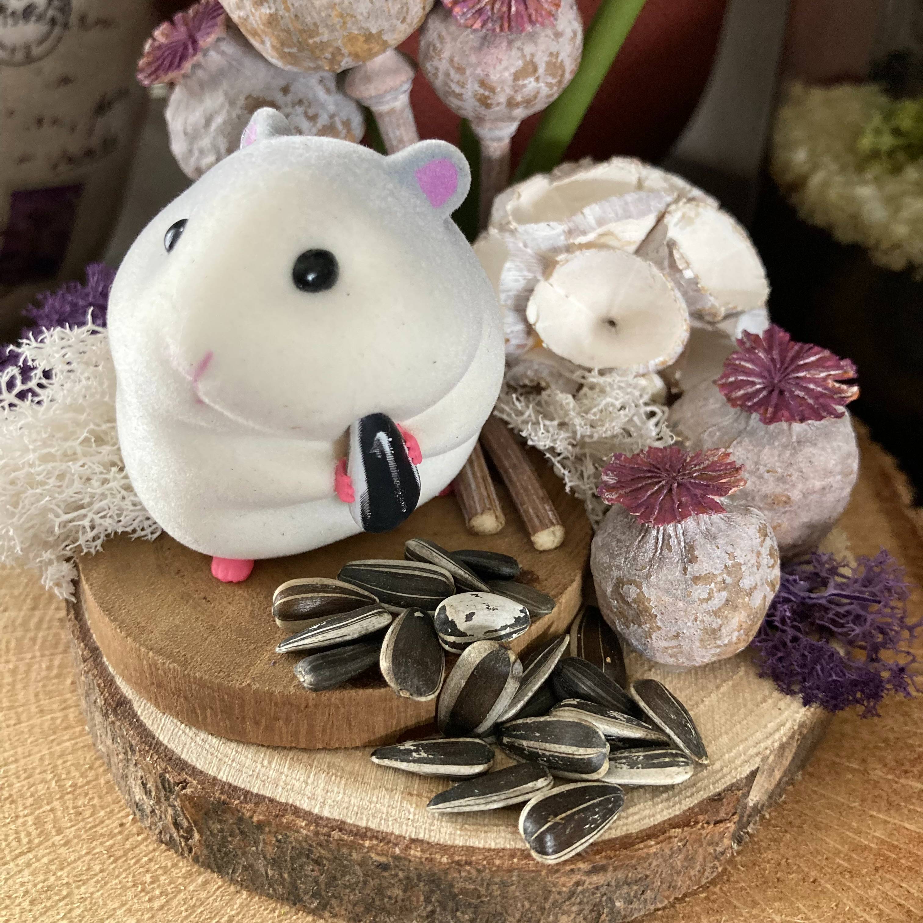 Vitrine 53fbd04bedba0126afaf15c1f01d15ba.jpg