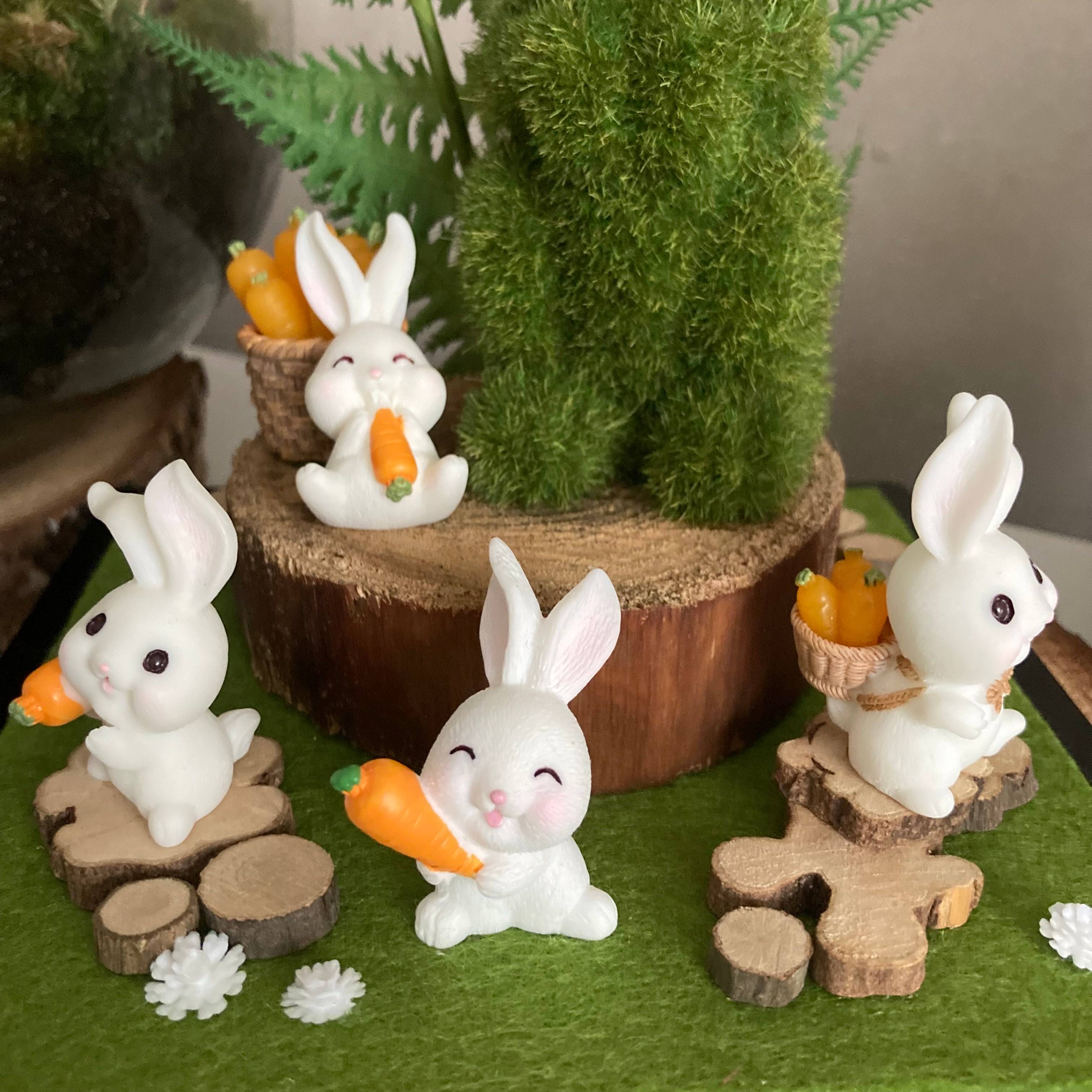 Vitrine 544598cb901365763bb5742249973bba.jpg