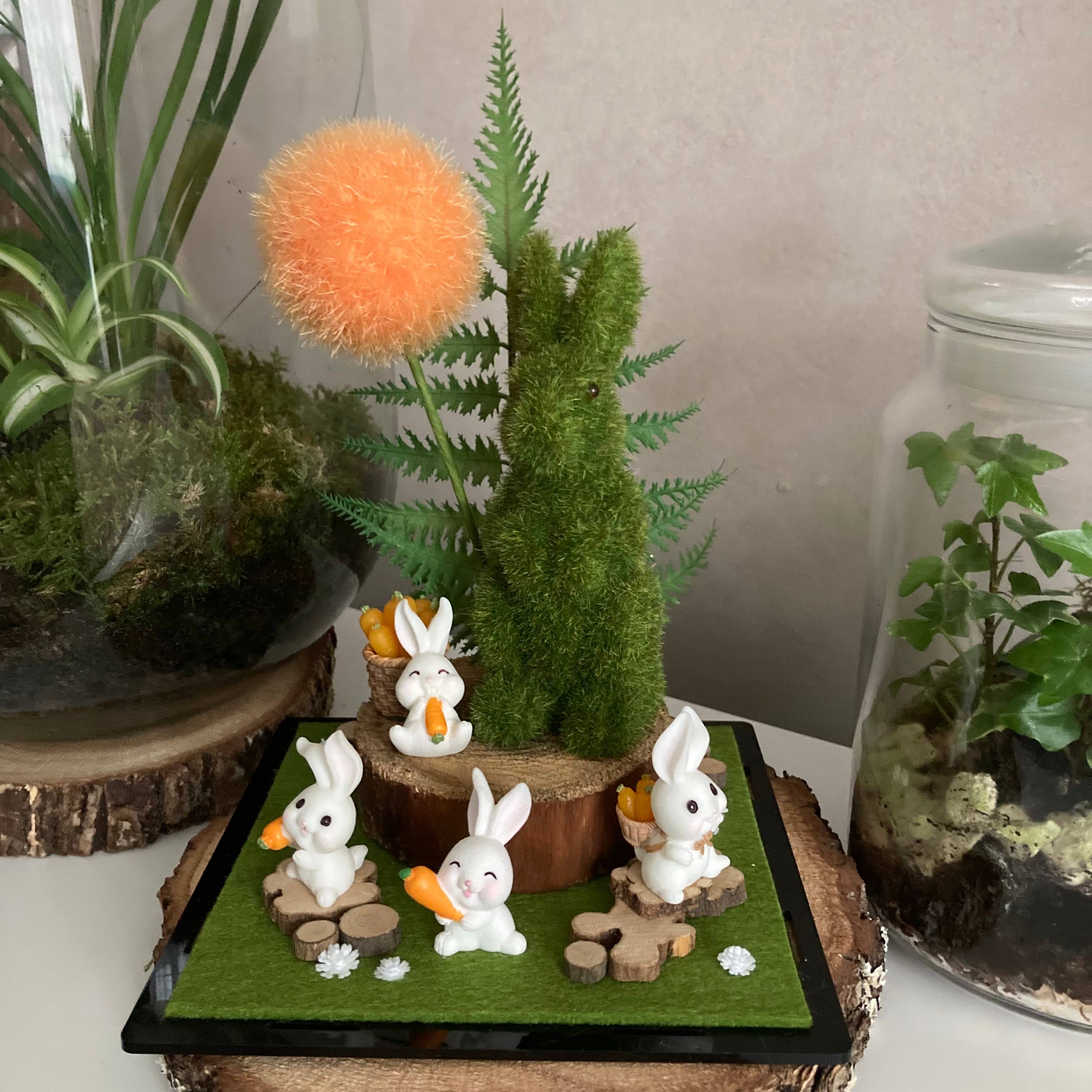 Vitrine 58fb875578171b2a6ed78fddd02bad8a.jpg