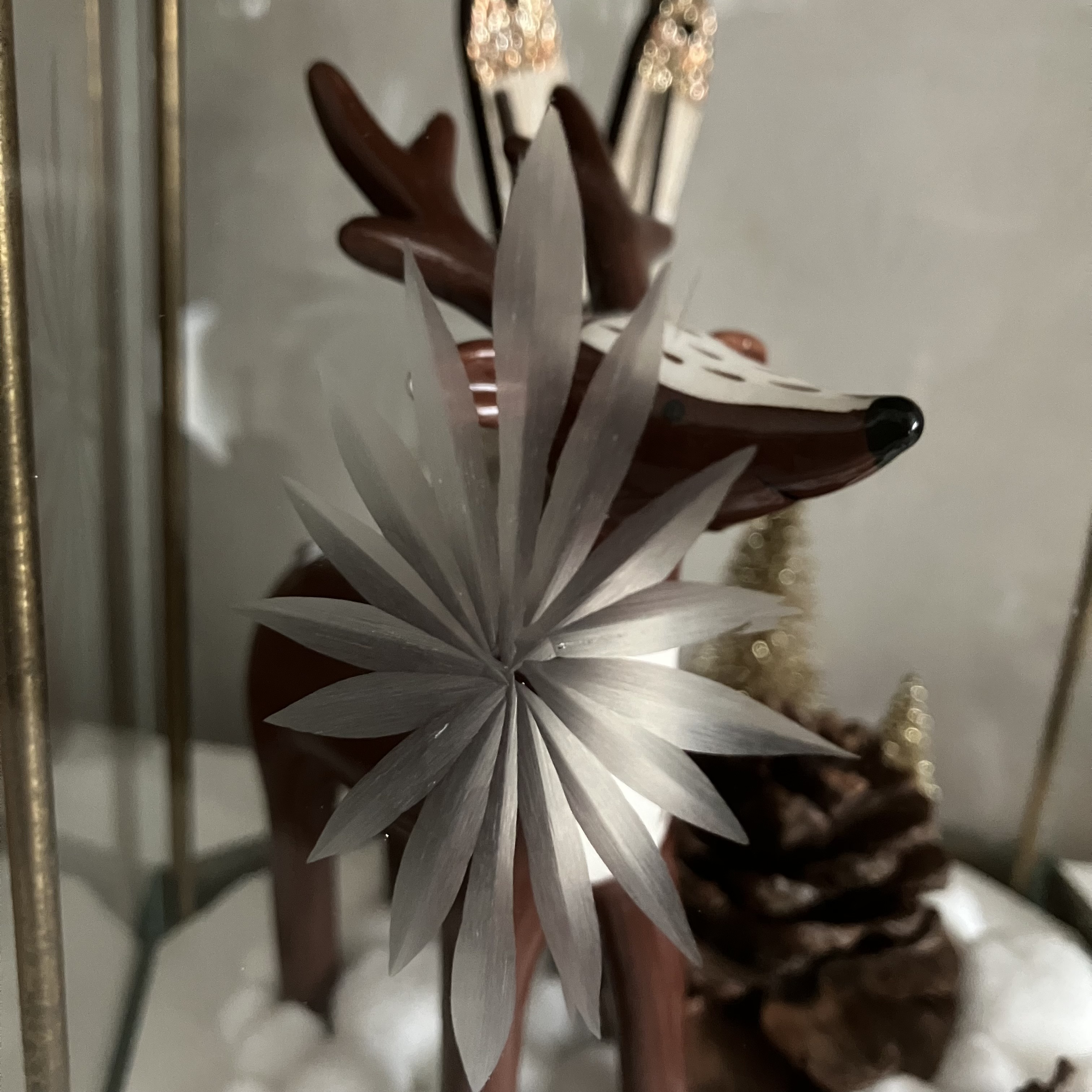 Vitrine 5965ccad5f41d272009cf541a007a345.jpg