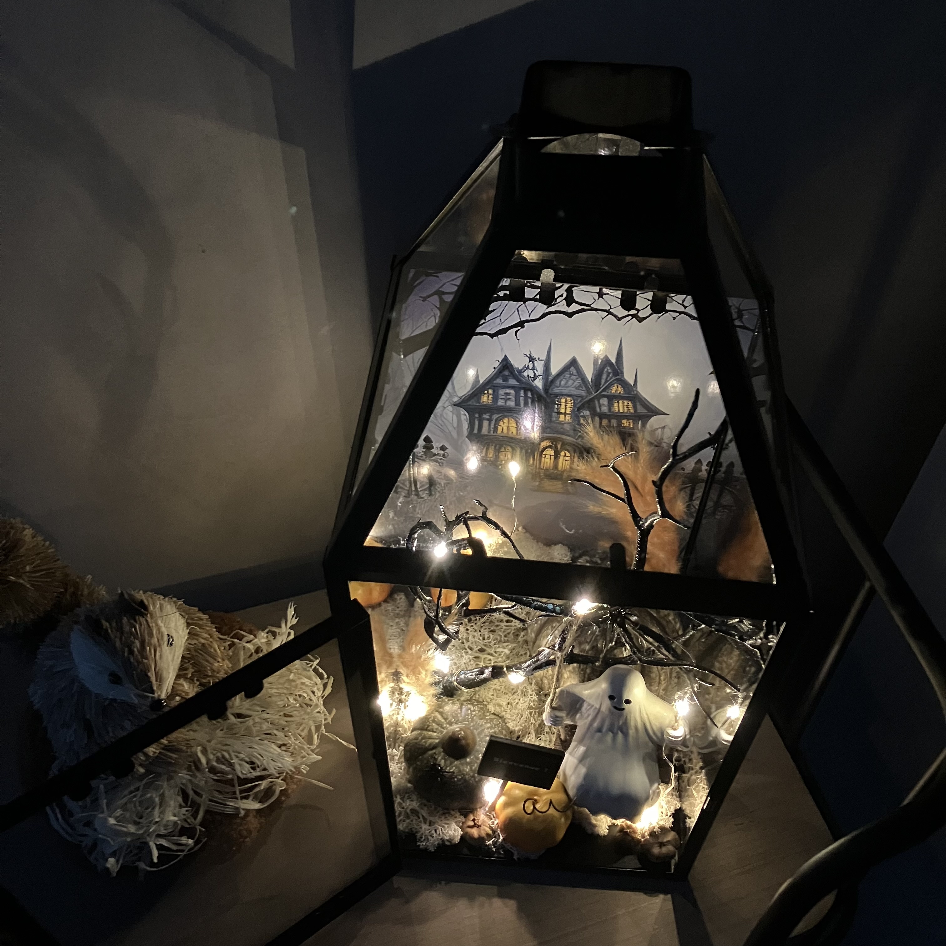 Vitrine 5a21700e573265a56a1931e6a9ab9c6a.jpg