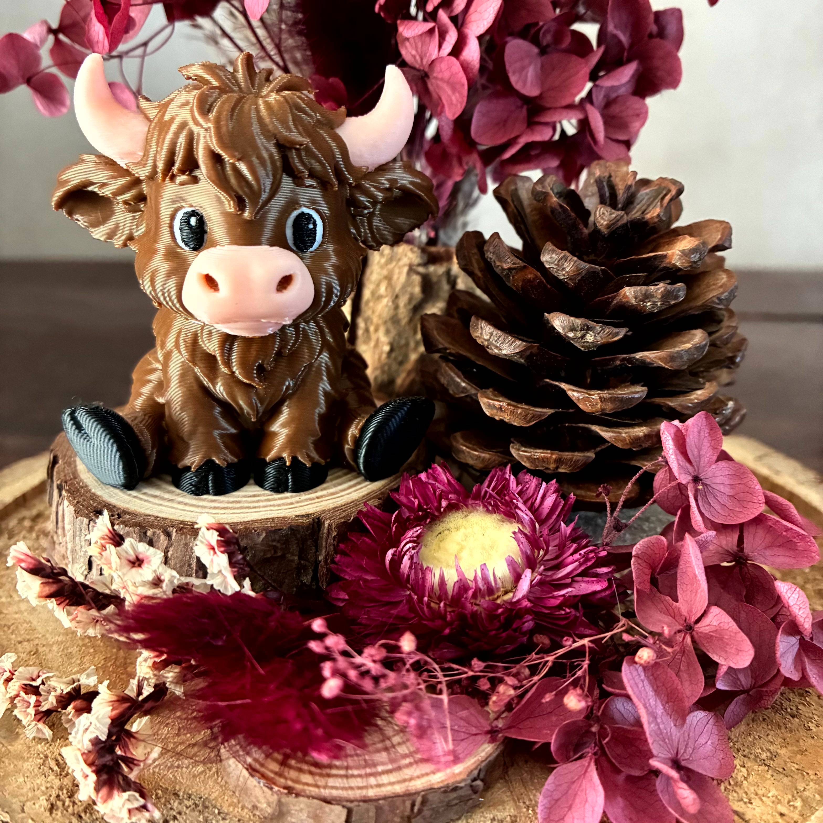 Vitrine 5cd26d046770b9775dbbbd1230babde2.jpg