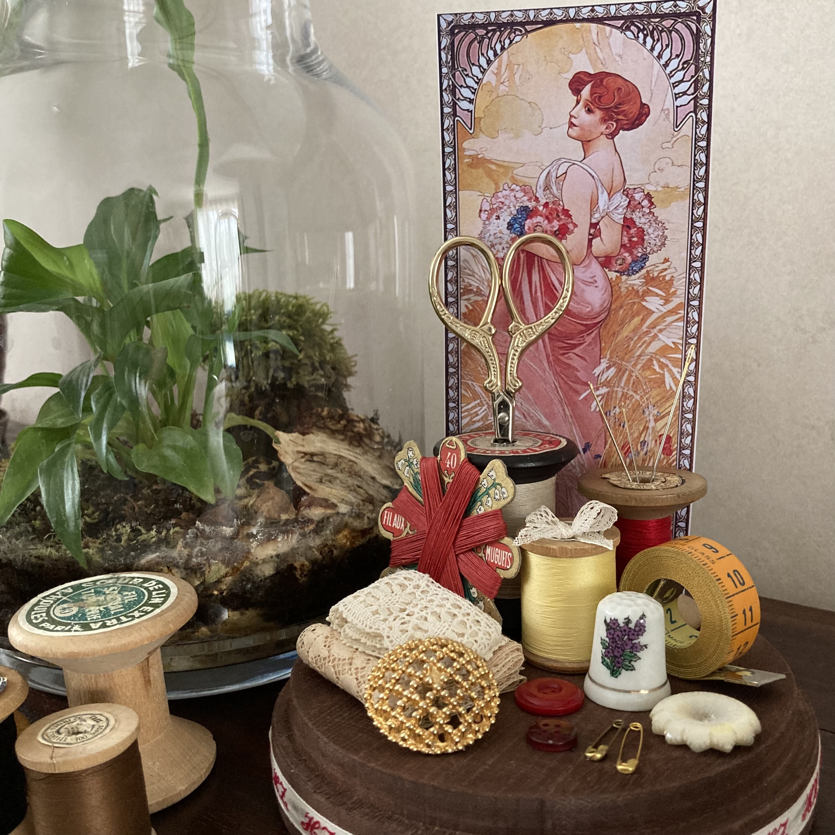 Vitrine 5d30ec1c1095748d529de96874d8ec9c.jpg