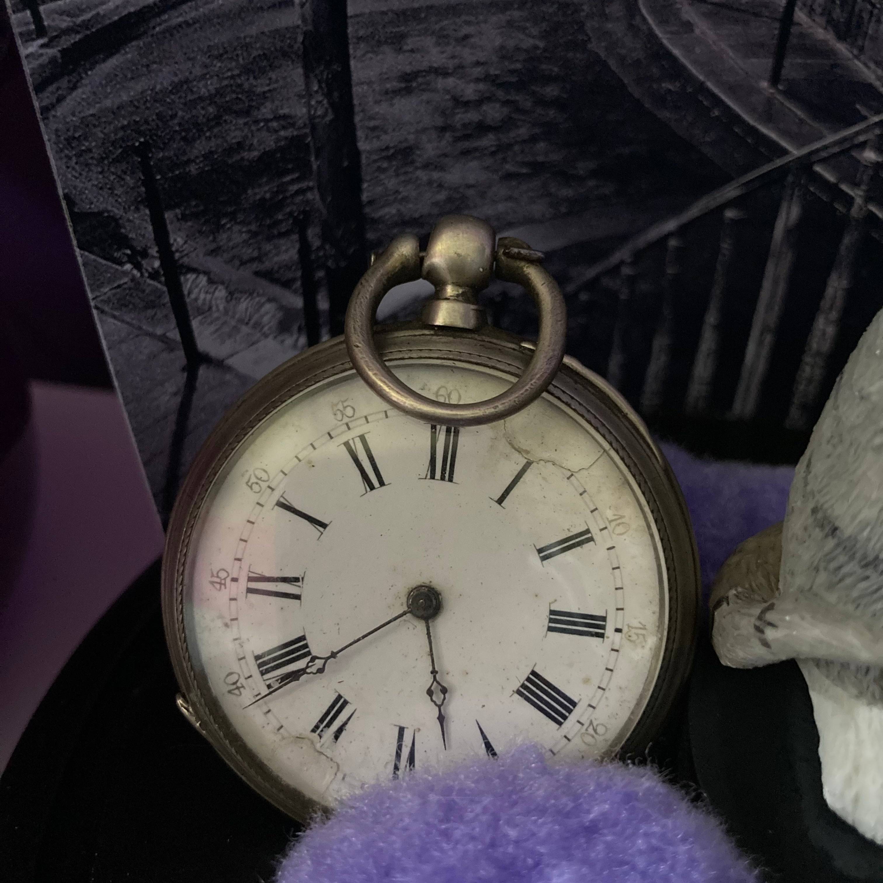 Vitrine 5fcc9b42861f115fd192bdf3dd562a03.jpg