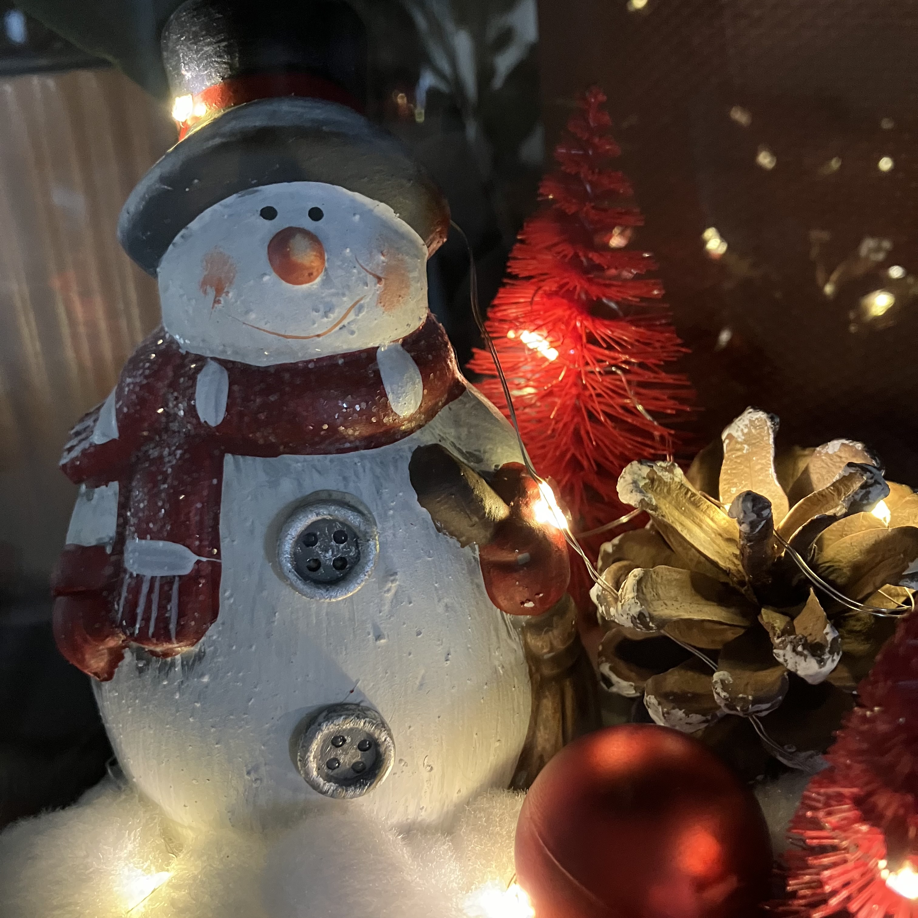 Vitrine 645213295b596e4d8ec91f1912769e13.jpg