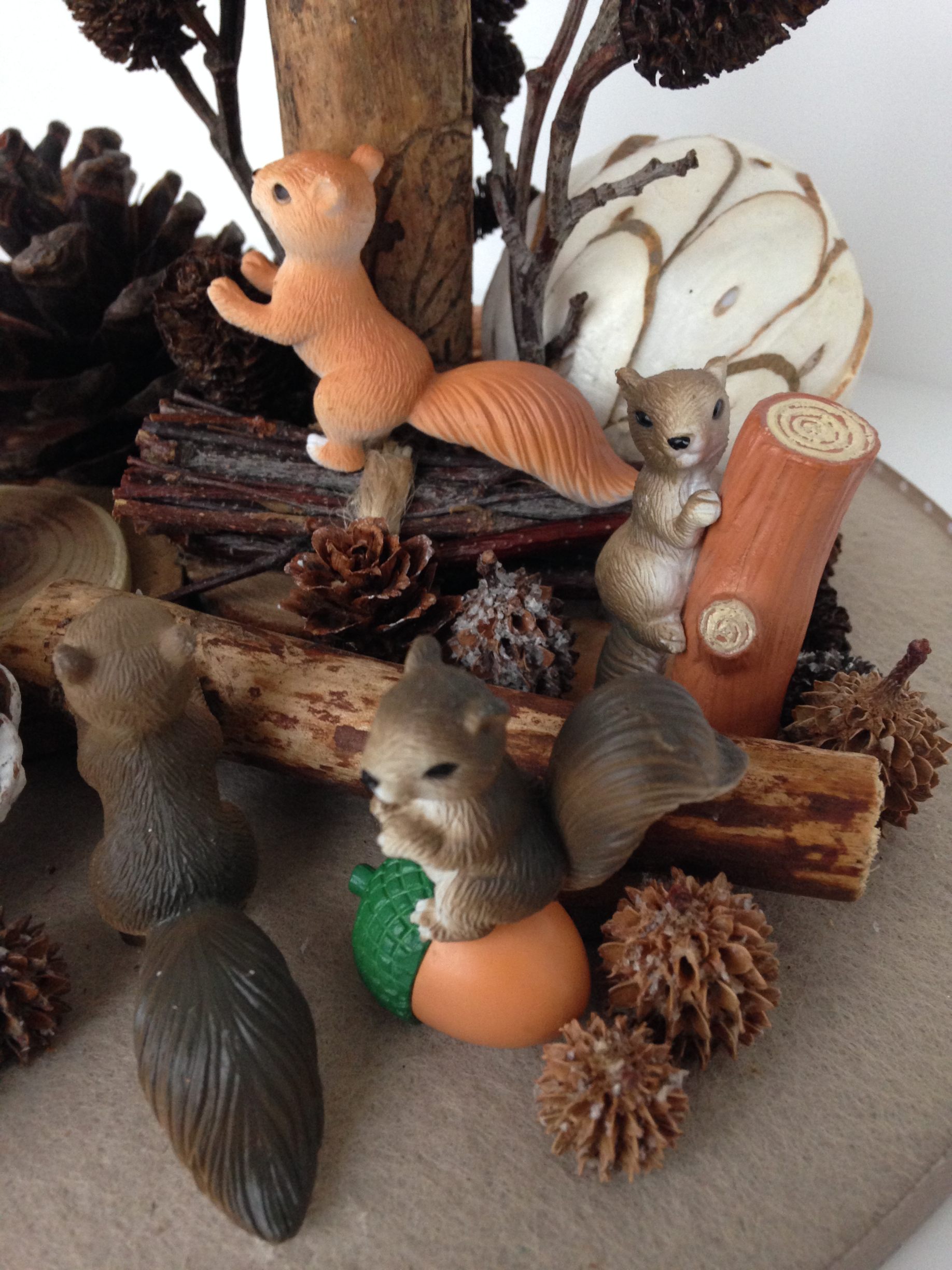 Vitrine 66d6a10818b72bbbe9fc67806ff987c8.jpg