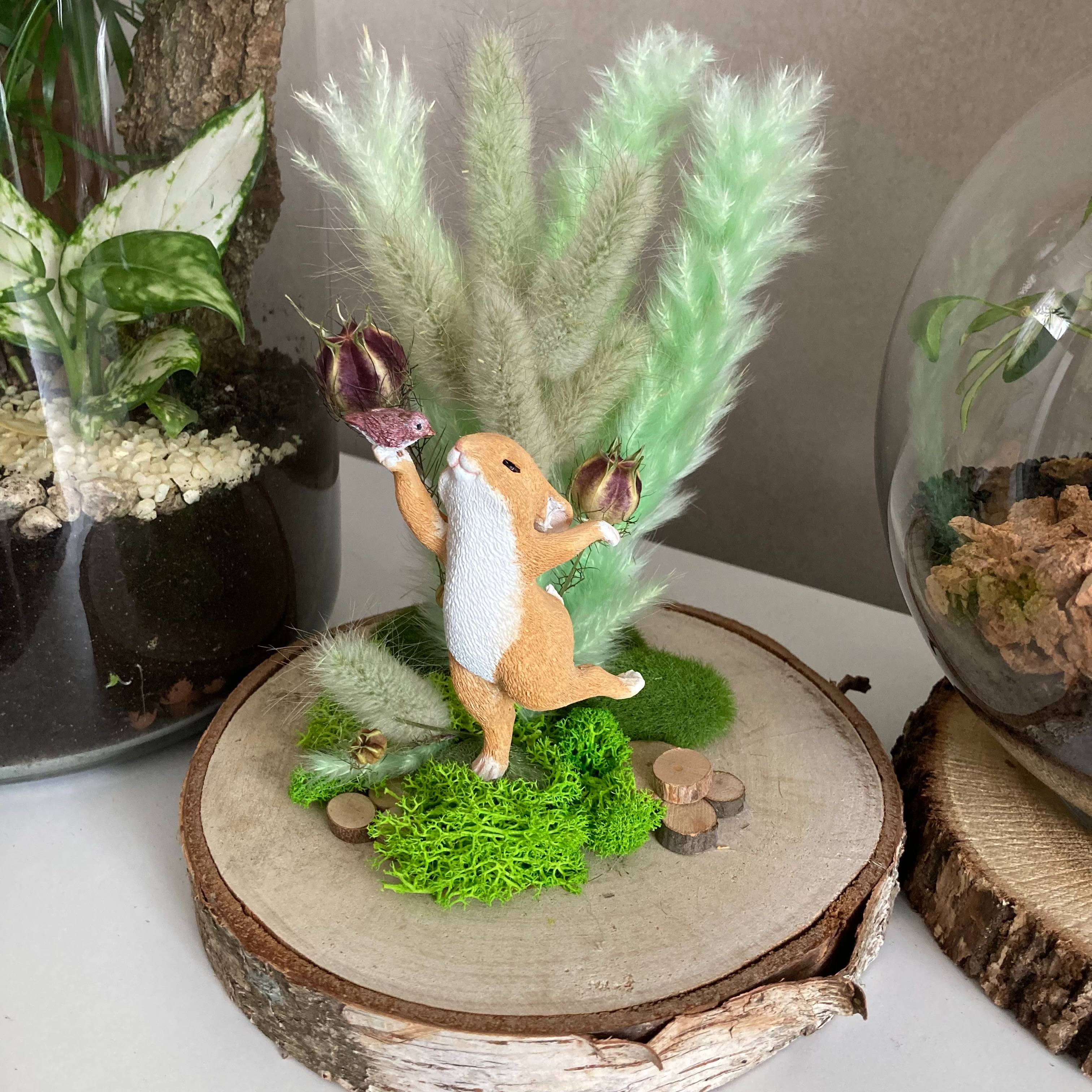 Vitrine 6e3e11f85e1ef011912fa34d8afa0c41.jpg