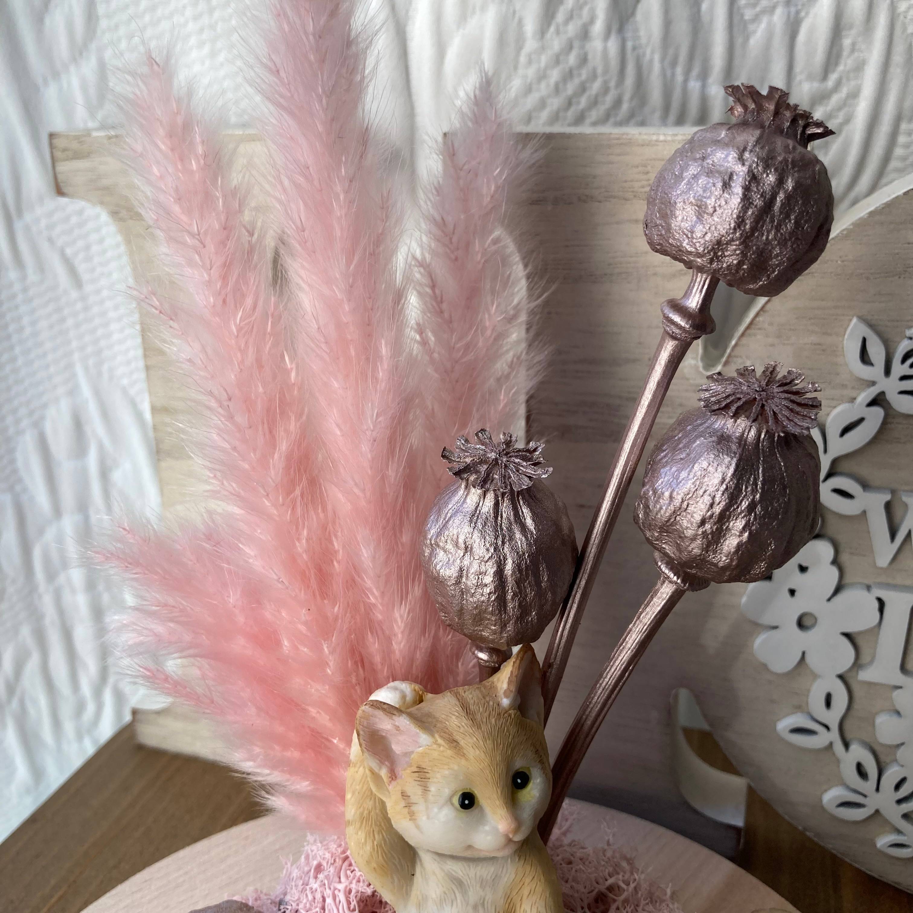 Vitrine 6ec961de93b513625f2c31df1b456ece.jpg